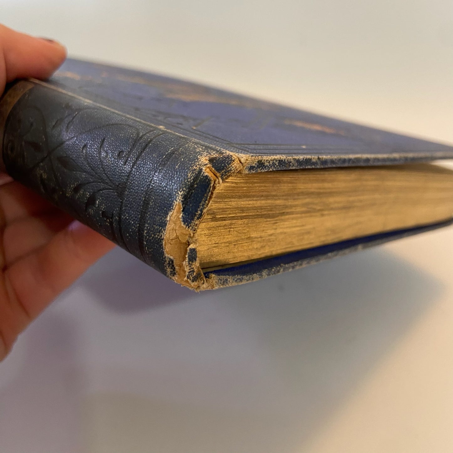 Circa 1870-1880 "Stories About Birds" Dark Blue Cloth Book