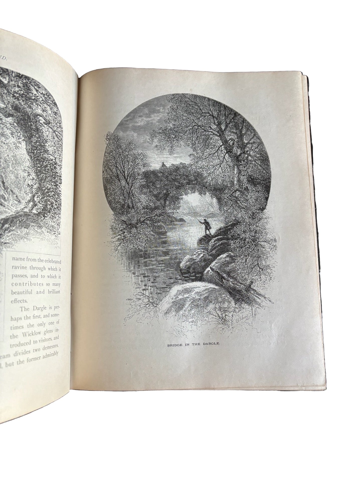 1884 Picturesque Ireland by John Savage | Illustrated Victorian Leather-Bound Book