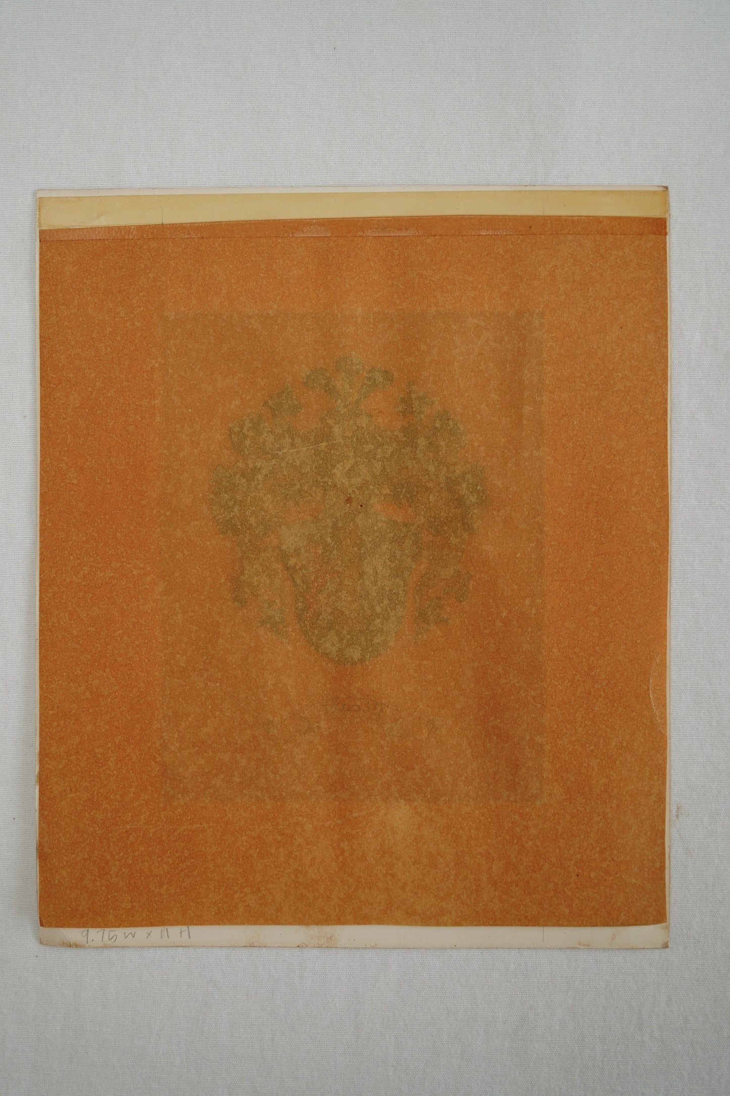 Antique Continental Heraldic Coat of Arms on Paper with Metallic Detailing