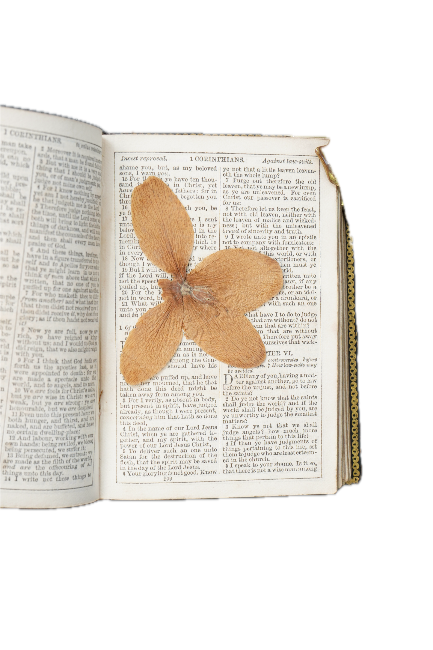 King James Version New Testament William Collins