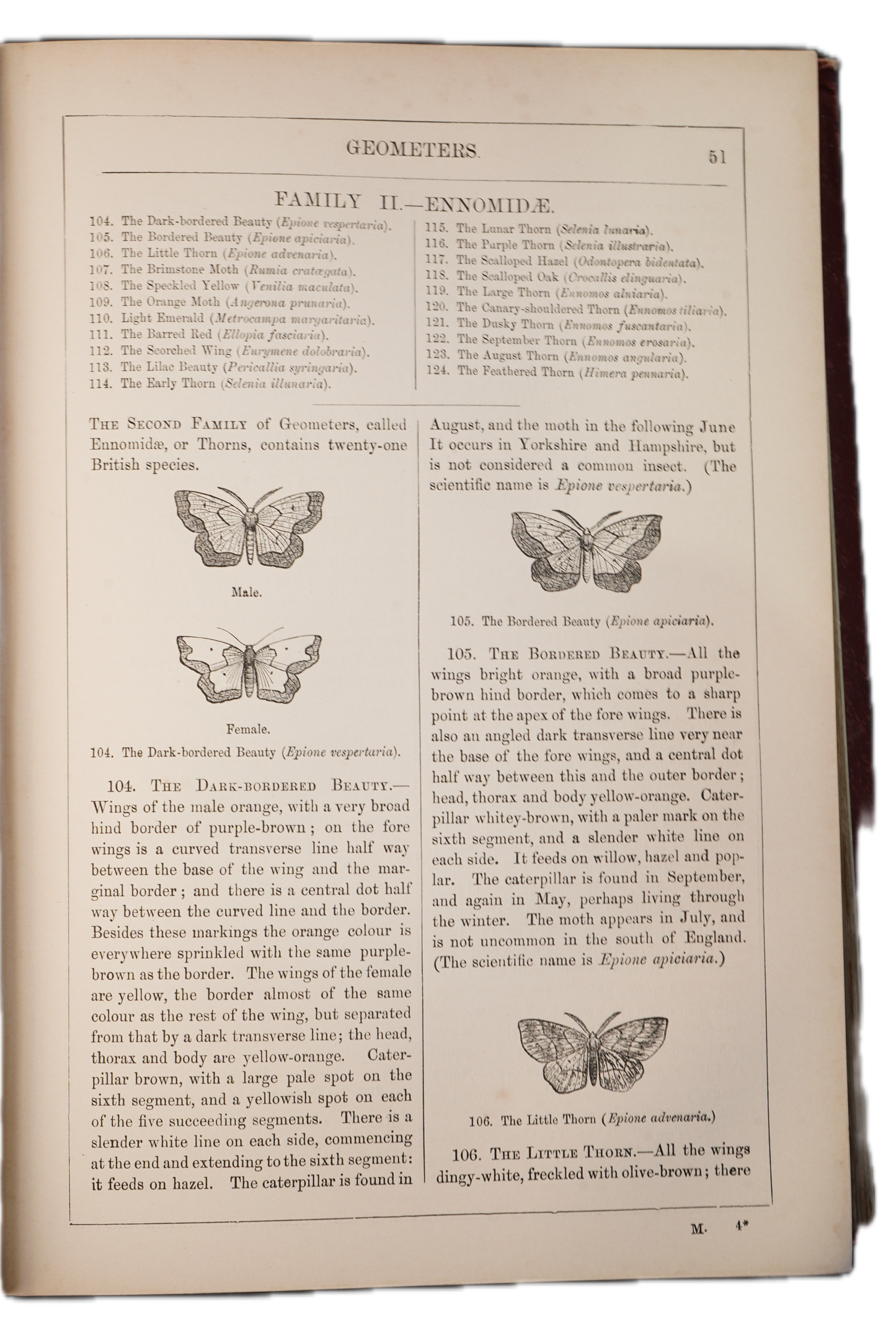 1875 Edward Newman British Butterflies and Moths