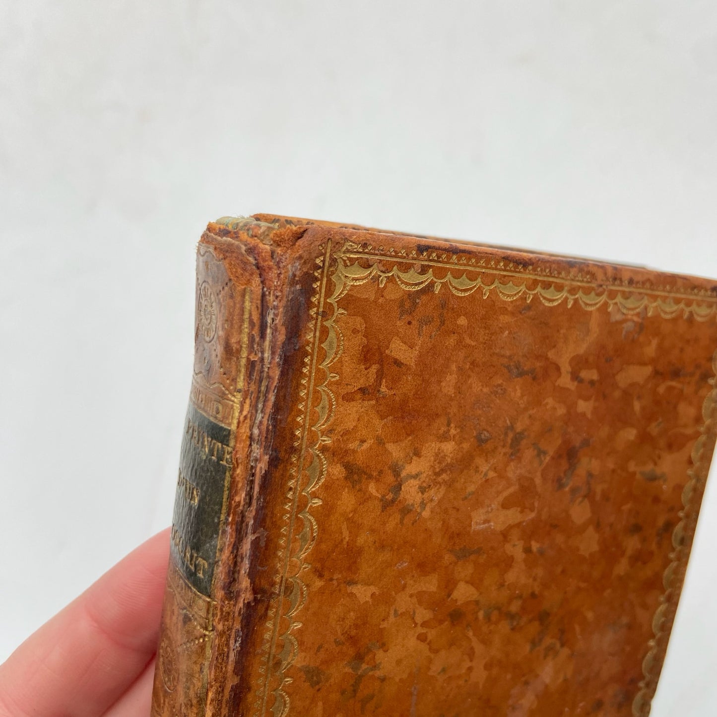 Antique 1803 French Poetry Book Le Printemps d’un Proscrit by Michaud | Fine Calf Leather Binding with Marbled Endpapers