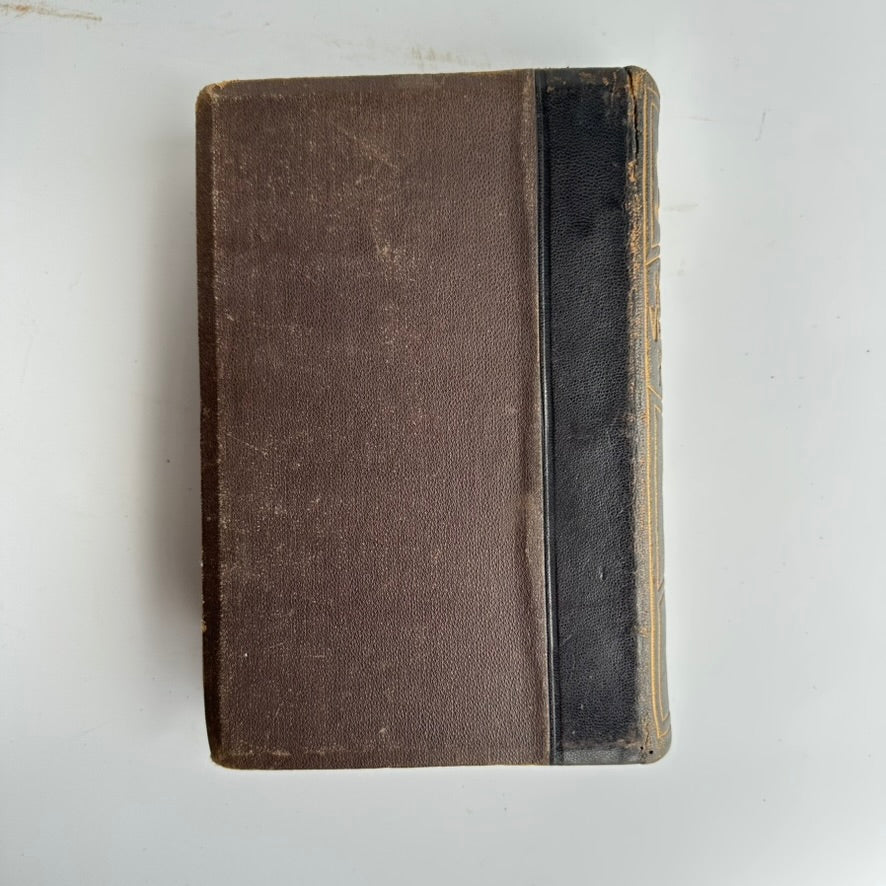 1881 Homeopathic Veterinary Medicine Book for Horses and Livestock – Illustrated Antique Animal Care Manual