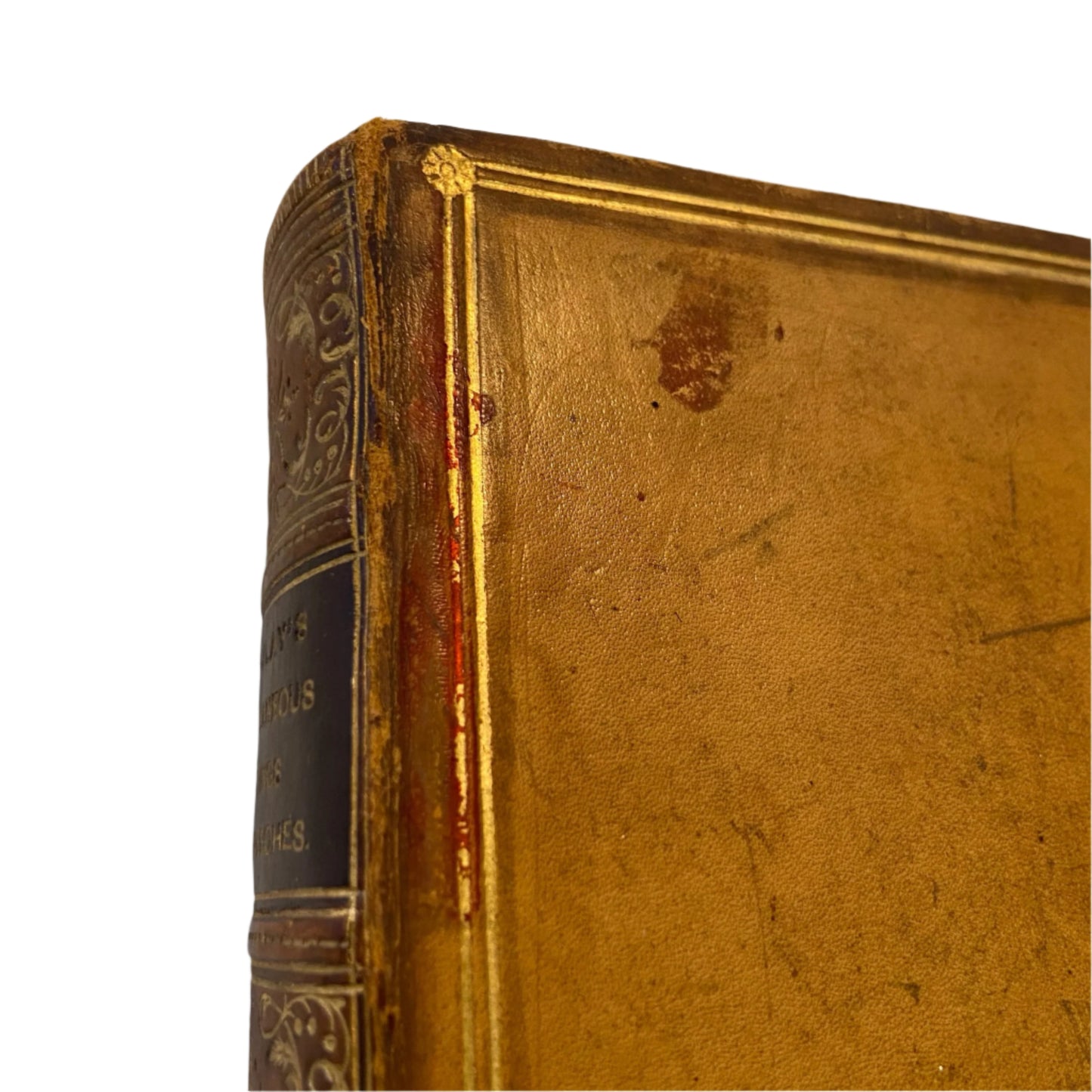 1889 Macaulay Miscellaneous Writings Speeches Full Calf Leather Book