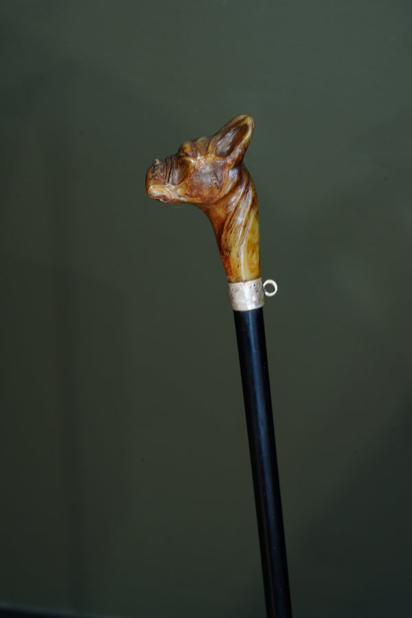 *Reserved* Victorian Carved Horn Boxer Dog Head Walking Stick