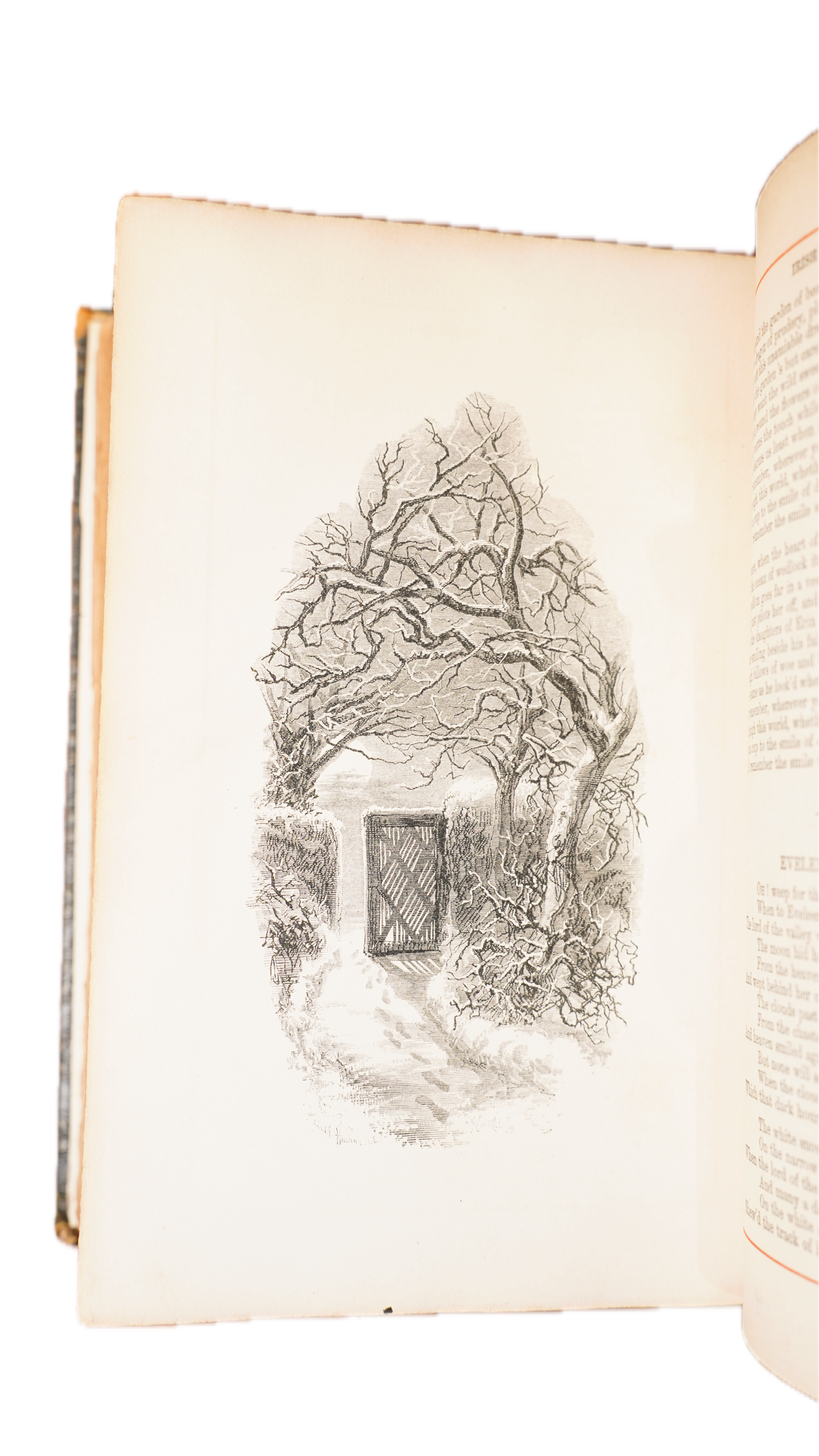 Thomas Moore Poetical Works 1863 Leather Gilt Edges