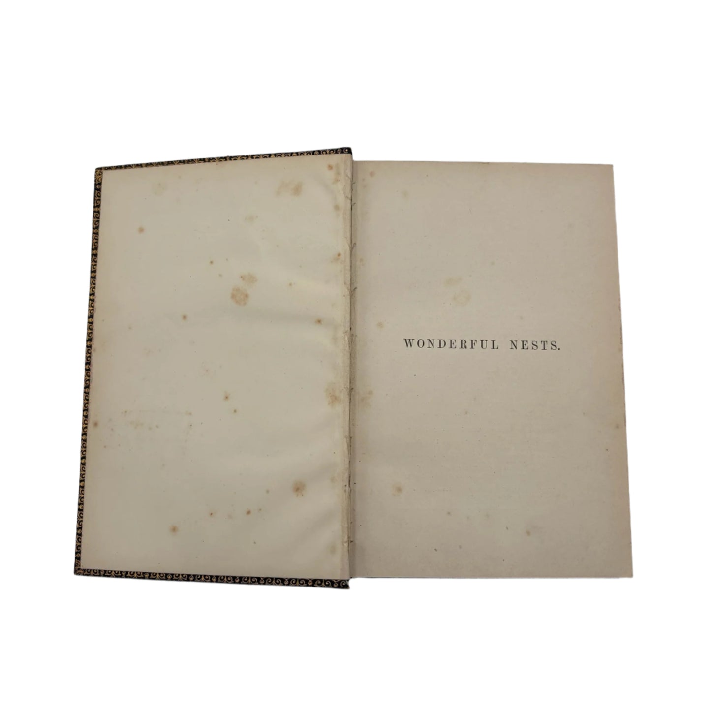 1892 Nature "Wonderful Nests" Blue Full Leather Prize Binding Book, Antique Bird Book