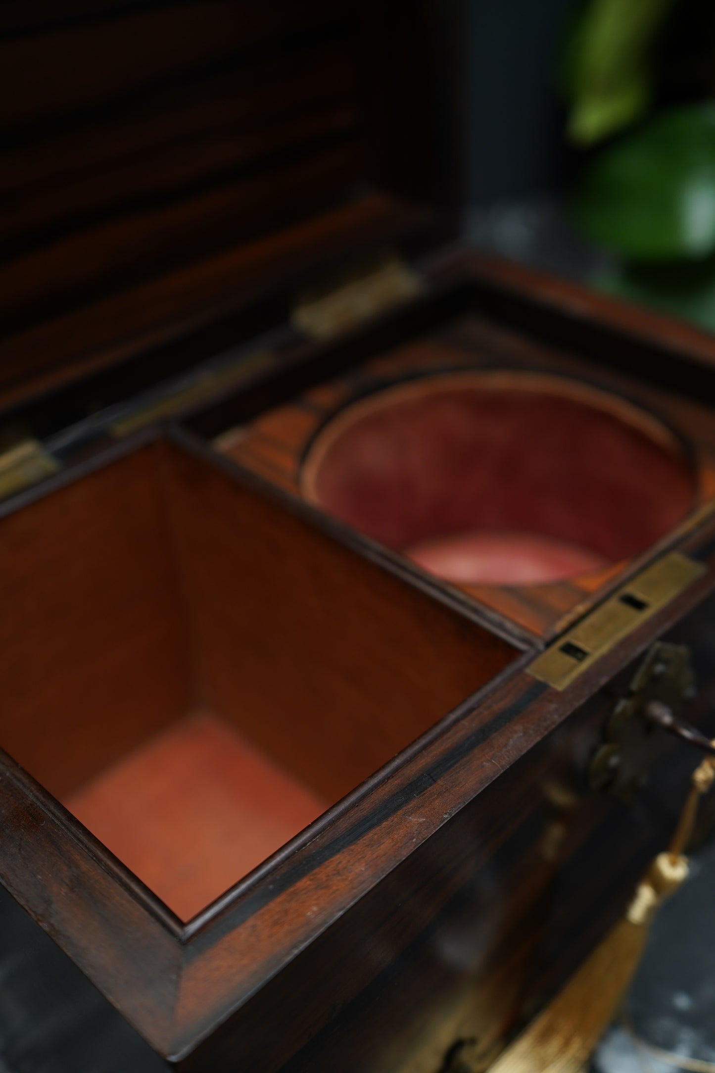 Antique Georgian Rosewood Domed Tea Caddy with Brass Mounts, Circa 1820-1830