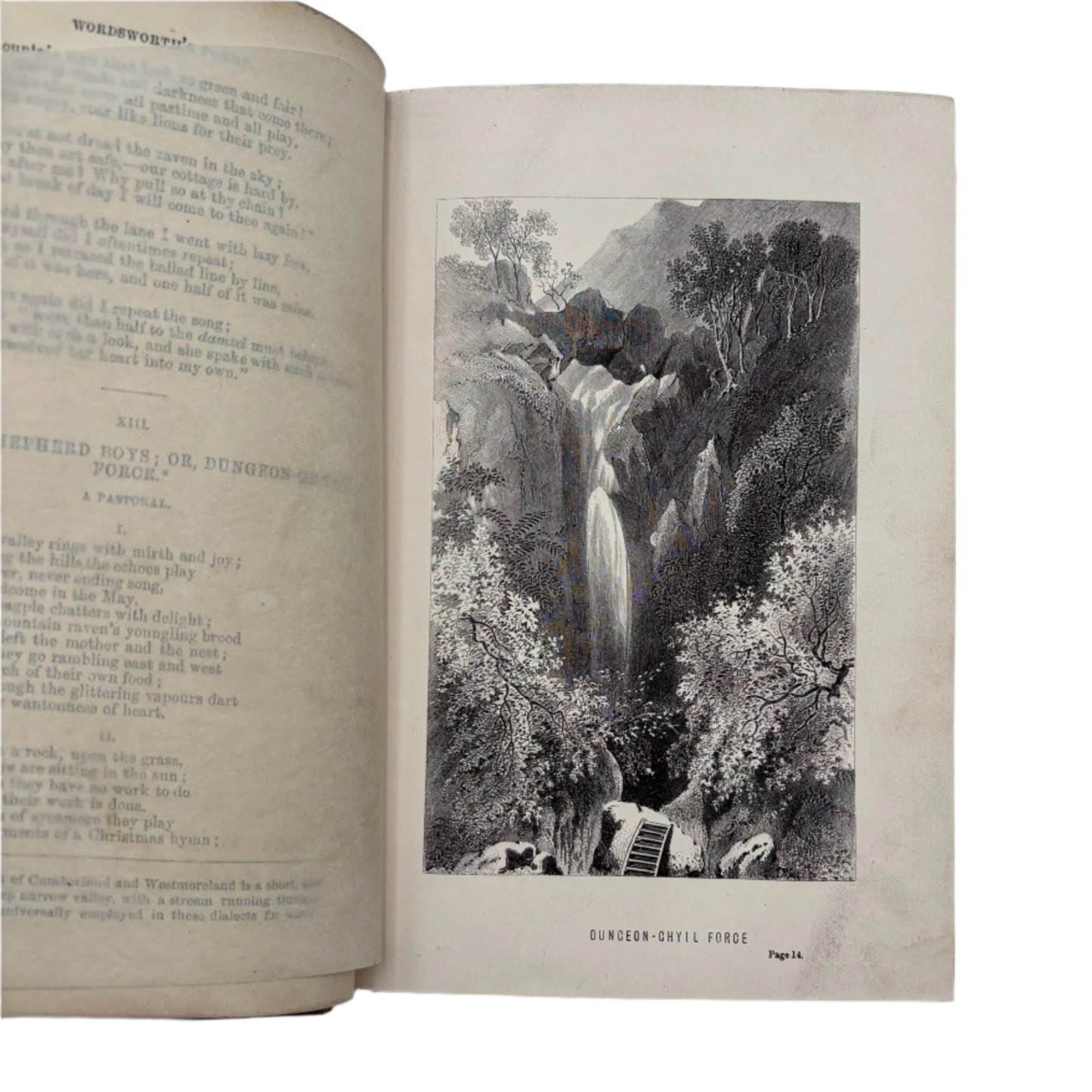 Poetical Works of William Wordsworth 1868 Leather Gift Edition | Classic Poetry Book with Gilt Binding and Engravings