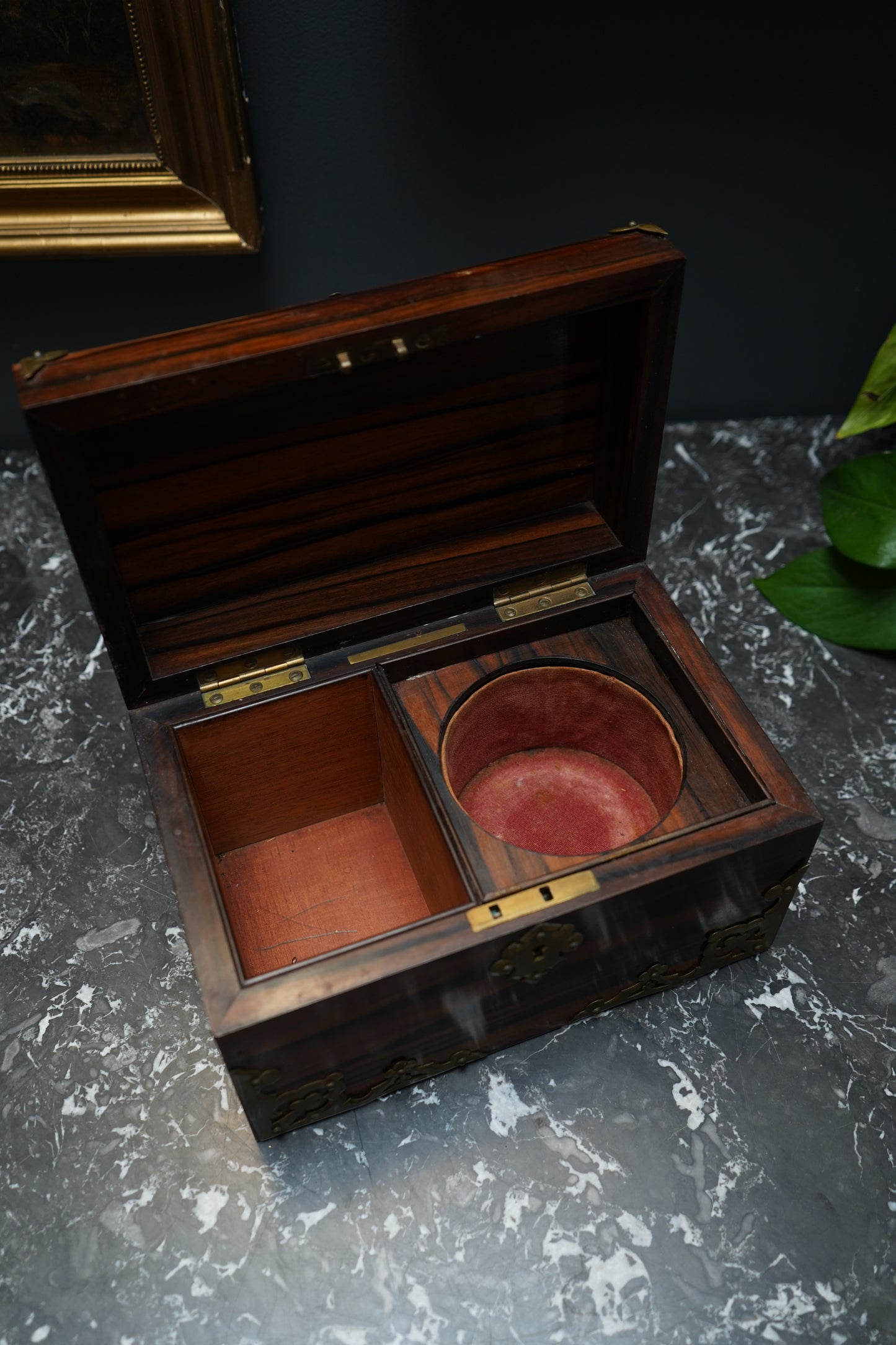 Antique Georgian Rosewood Domed Tea Caddy with Brass Mounts, Circa 1820-1830