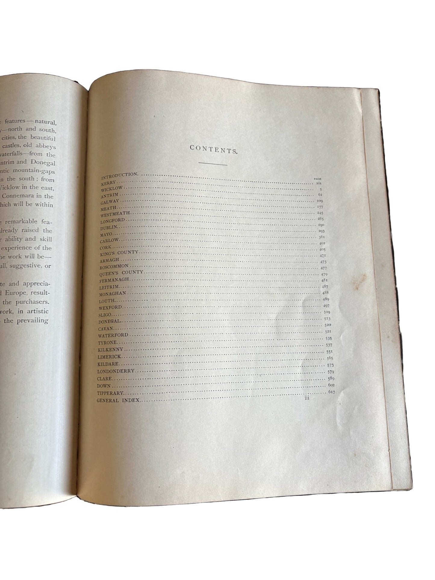 1884 Picturesque Ireland by John Savage | Illustrated Victorian Leather-Bound Book