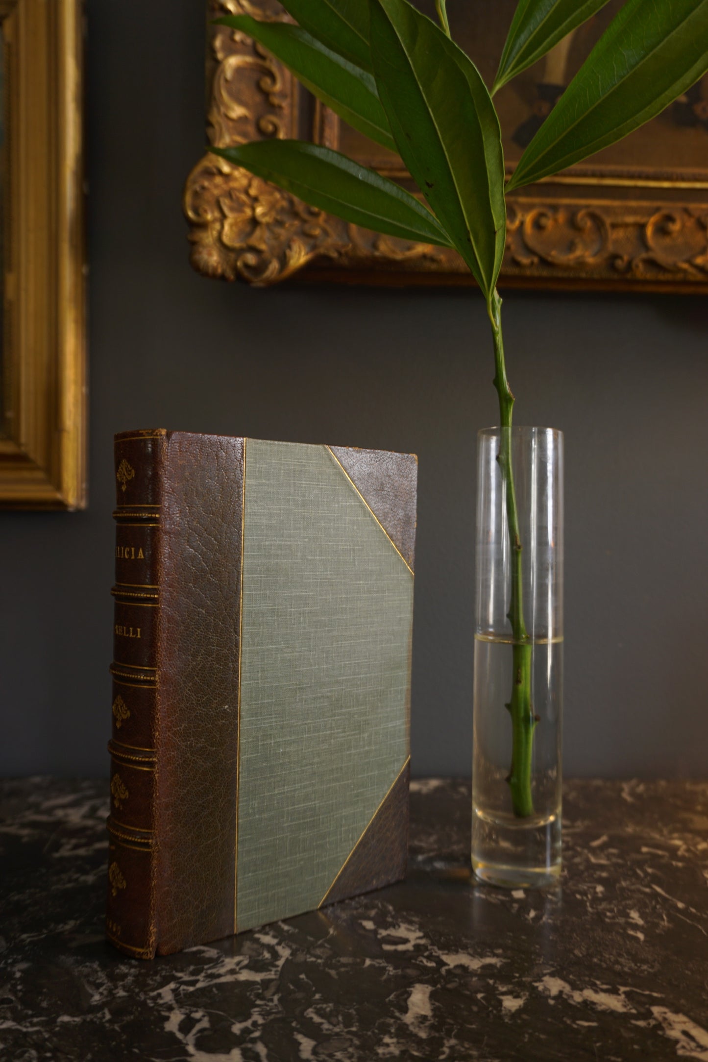 1907 "Delicia" Brown Half Leather Book