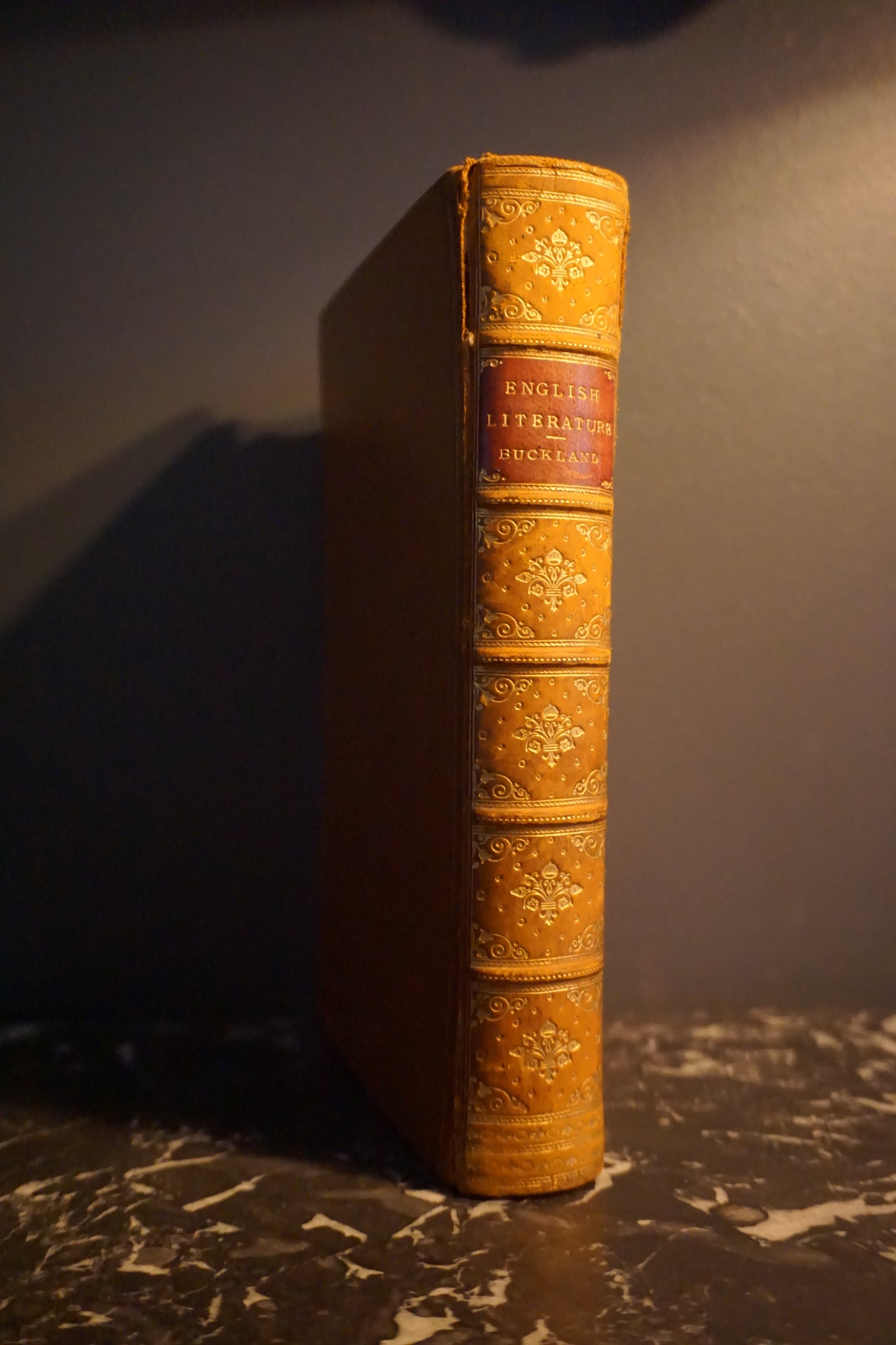 1895 "The Story of English Literature" Brown Full Leather Book