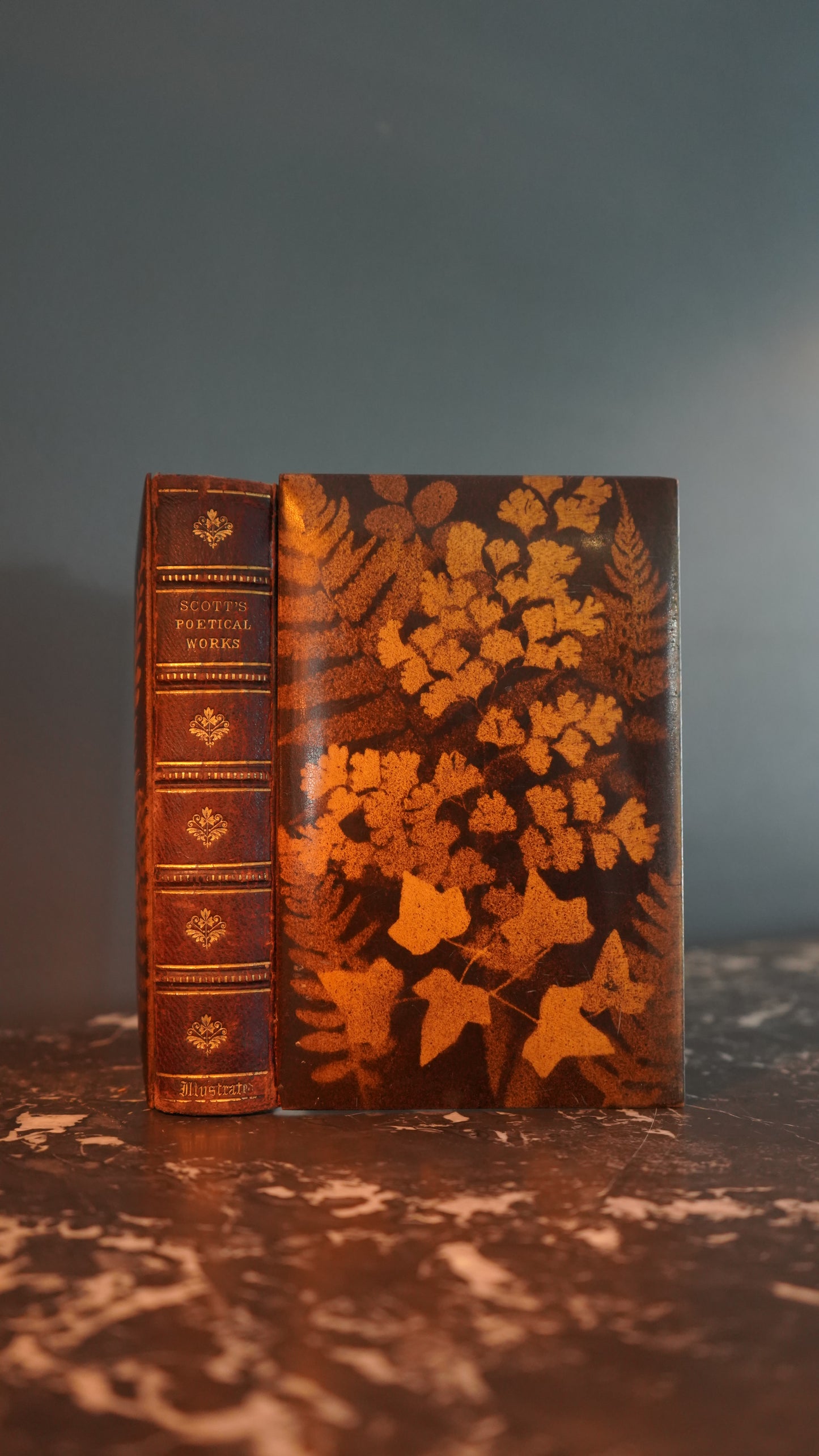 Mauchline Binding 1849 "The Poetical Works of Sir Walter Scott"