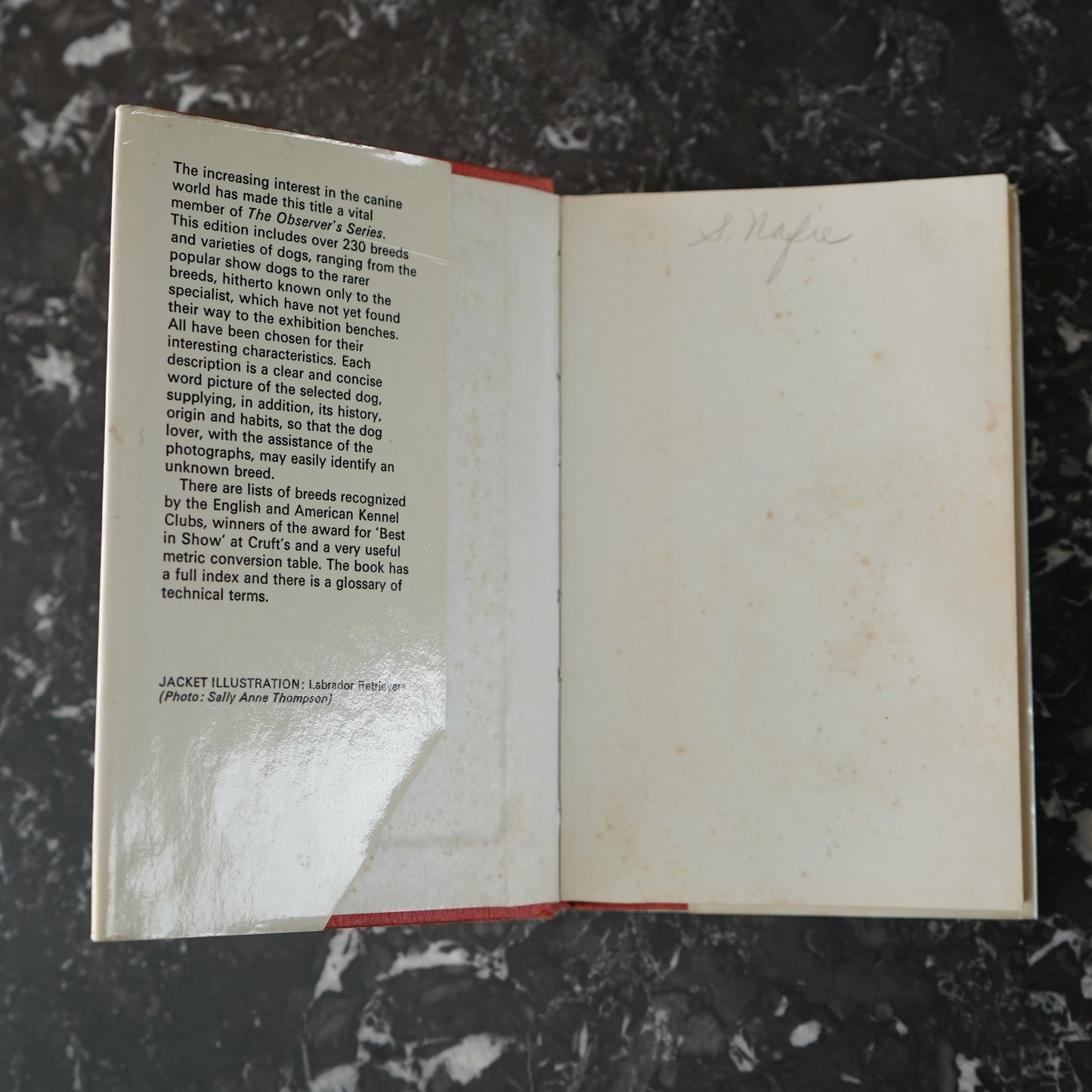 The Observer’s Book of Dogs (1970 Revised Edition) – Frederick Warne Pocket Series No. 8, Illustrated Vintage Dog Breed Guide