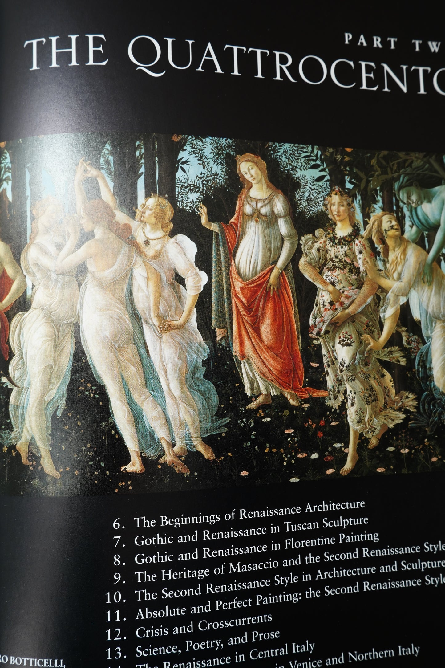 History of Italian Renaissance Art Hardcover Frederick Hart Wilkins 2001