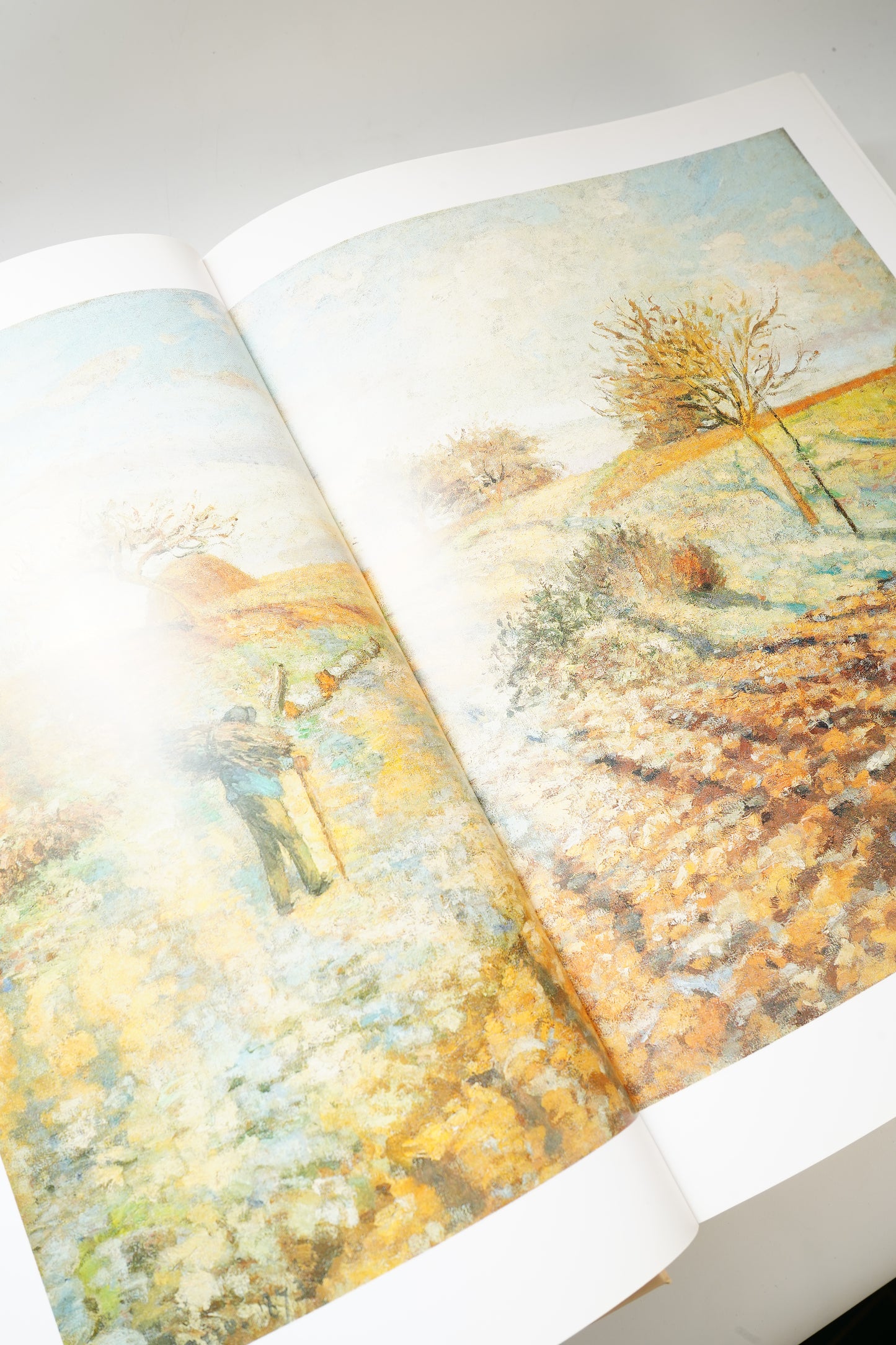 Impressionist Art Coffee Table Book TASCHEN Hardcover Large Format