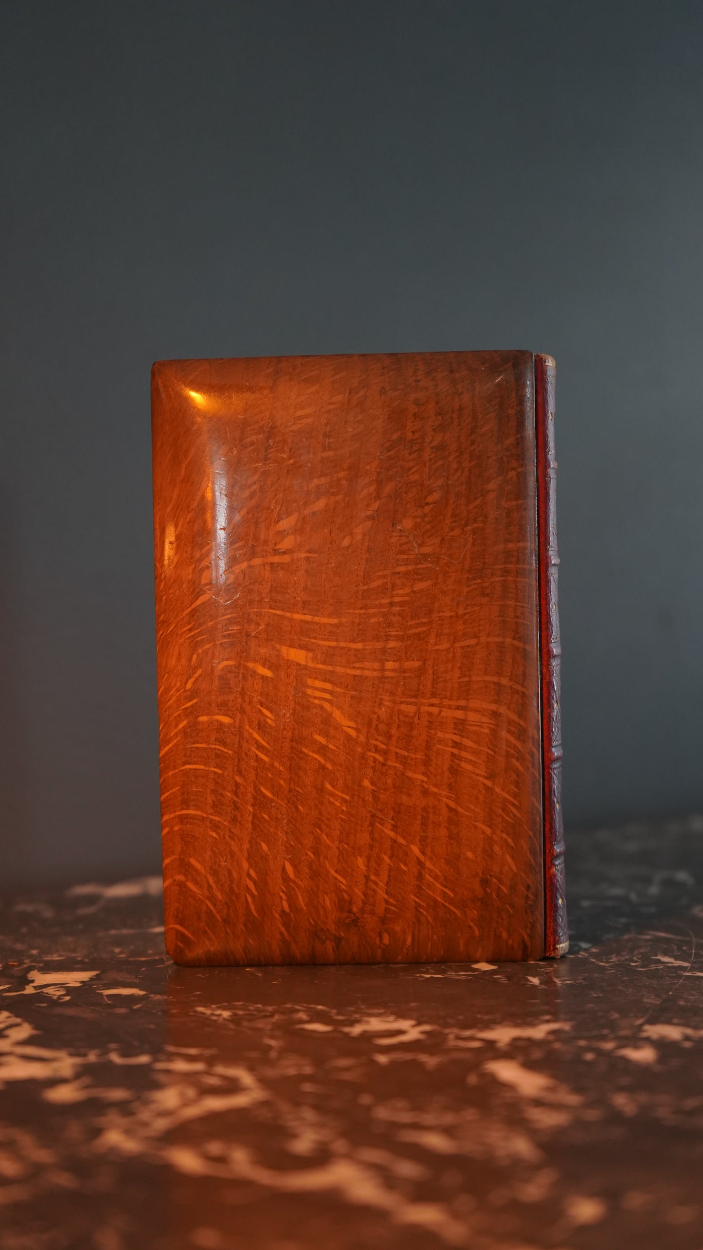 Mauchline Binding 1869 "The Lady of the Lake" by Sir Walter Scott