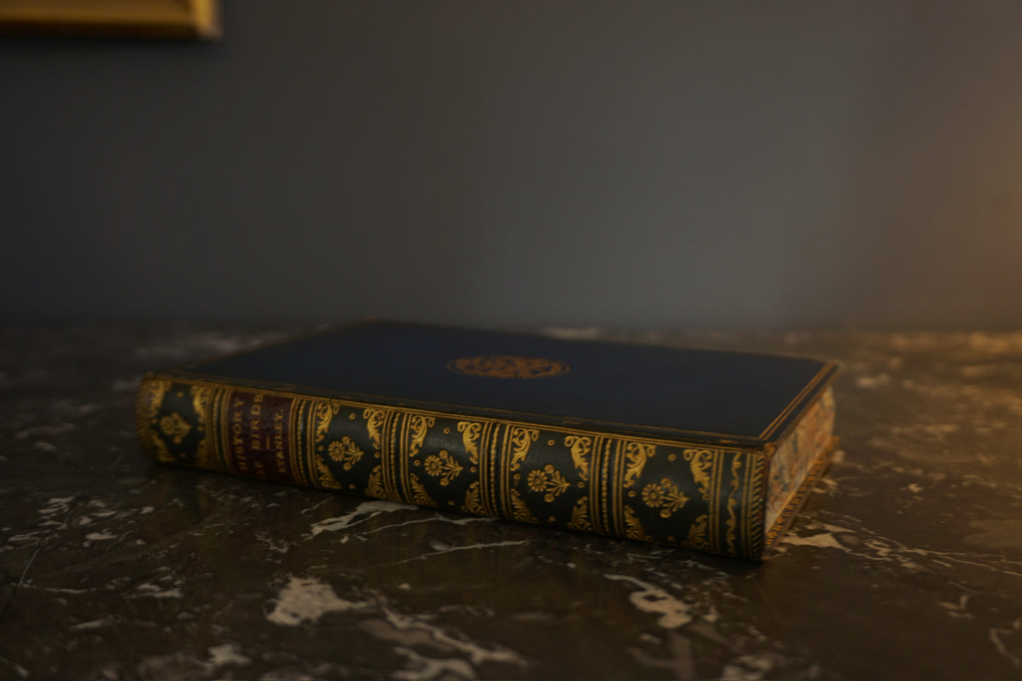 Antique Bird Book A Familiar History of Birds Victorian Prize Binding Blue Leather 1890s Illustrated Natural History