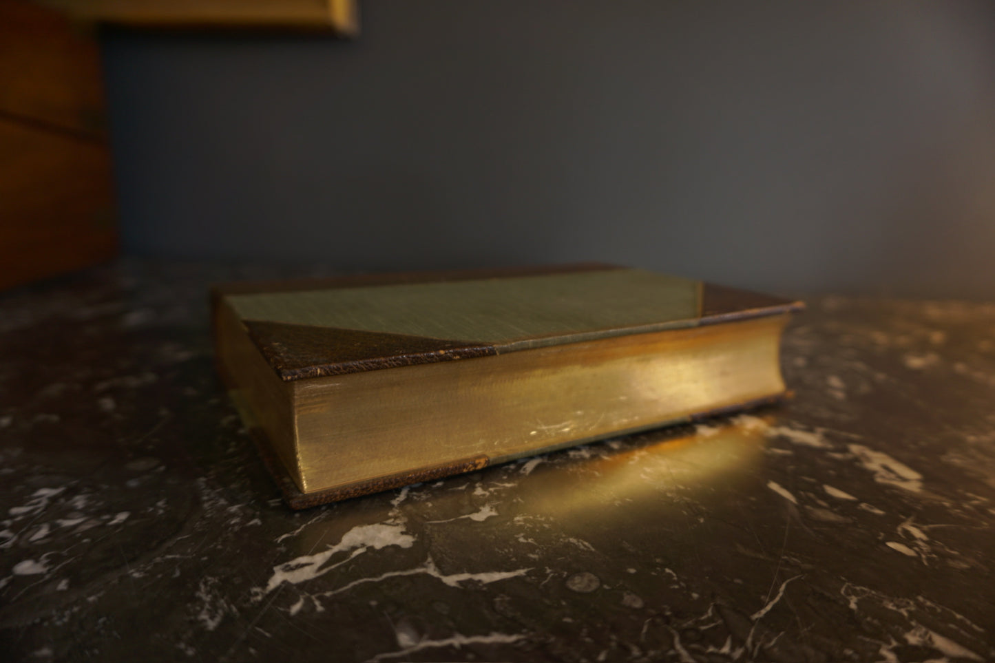 1907 "Delicia" Brown Half Leather Book