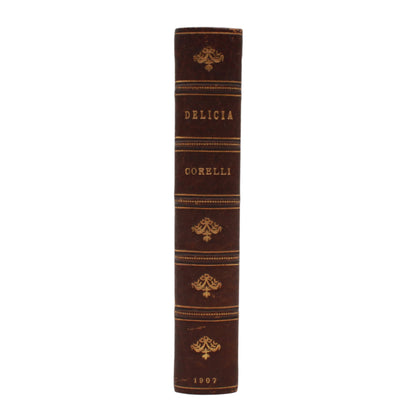 1907 "Delicia" Brown Half Leather Book