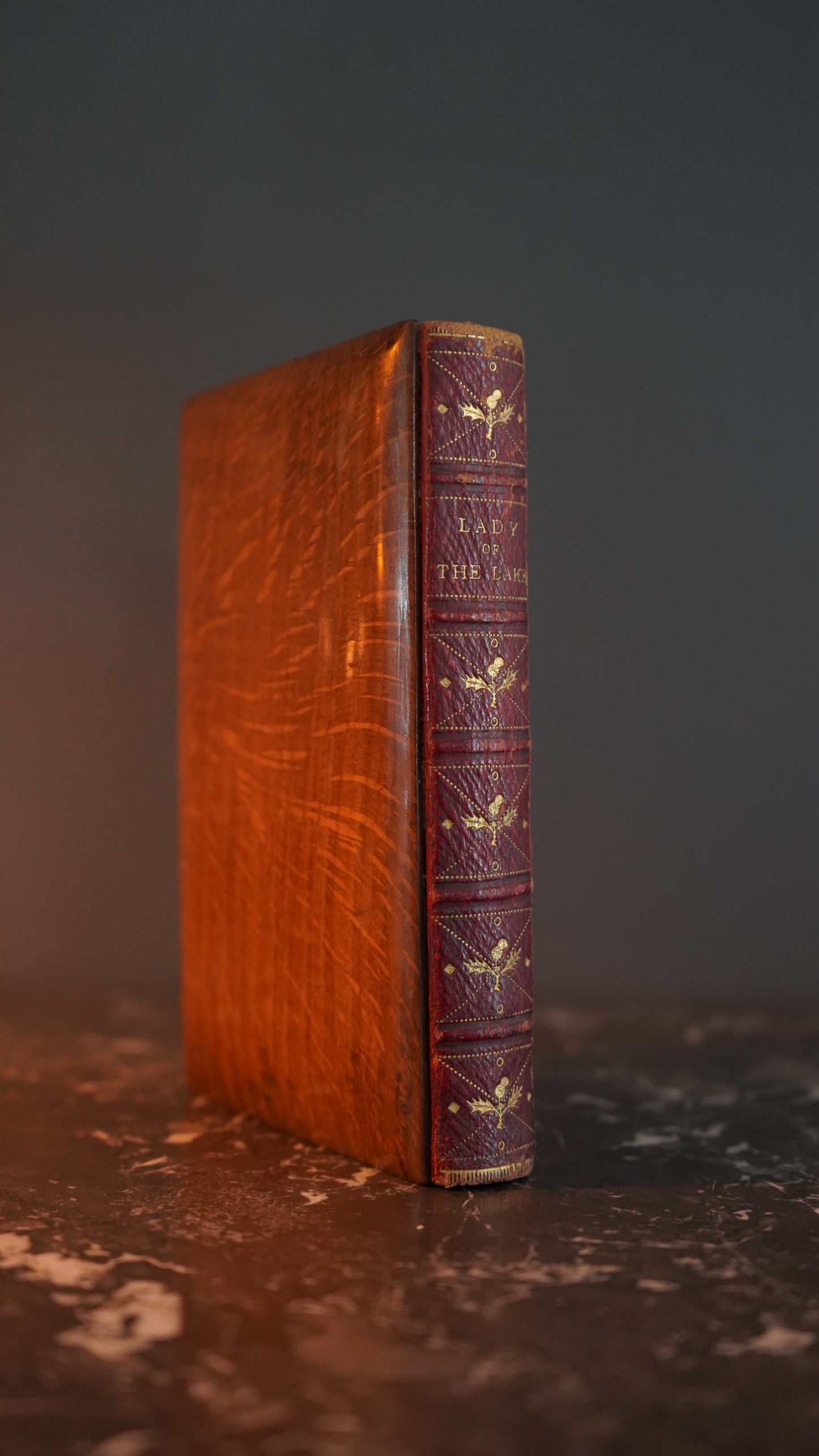 Mauchline Binding 1869 "The Lady of the Lake" by Sir Walter Scott