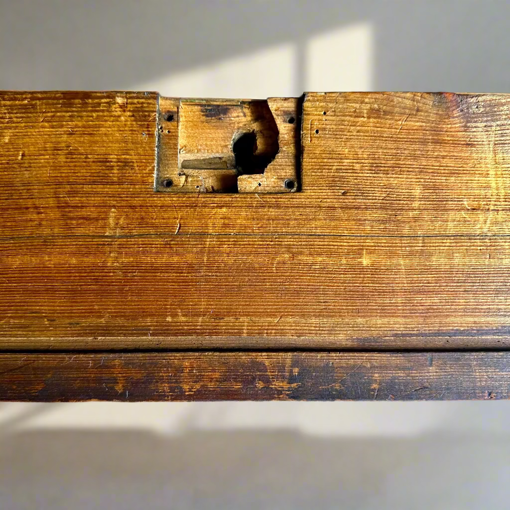 Antique Carved Oak Drawer Front | Renaissance Revival Lion, Grapevine & Acanthus | Architectural Salvage Wall Plaque c.1870–1900