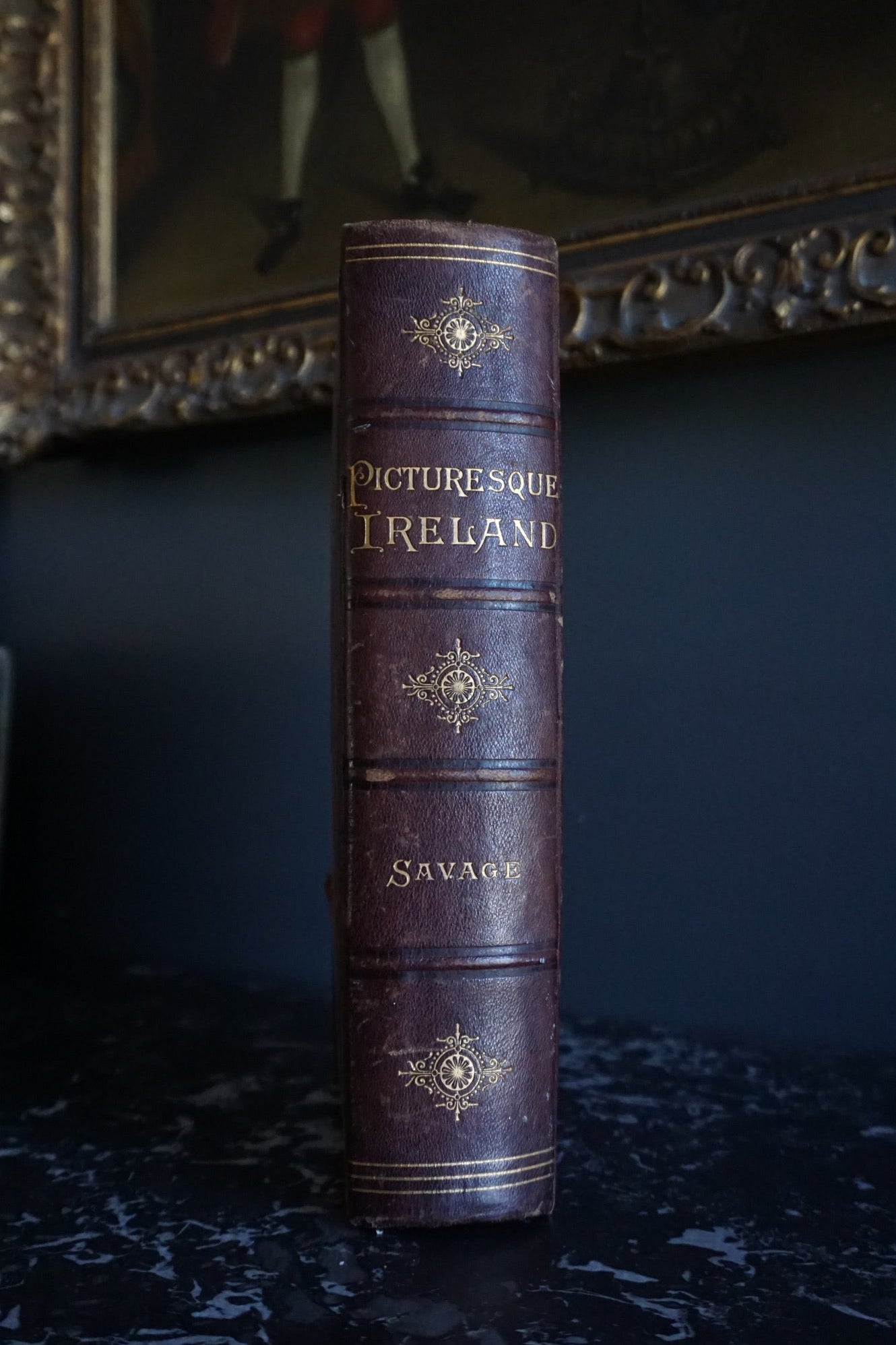 1884 Picturesque Ireland by John Savage | Illustrated Victorian Leather-Bound Book