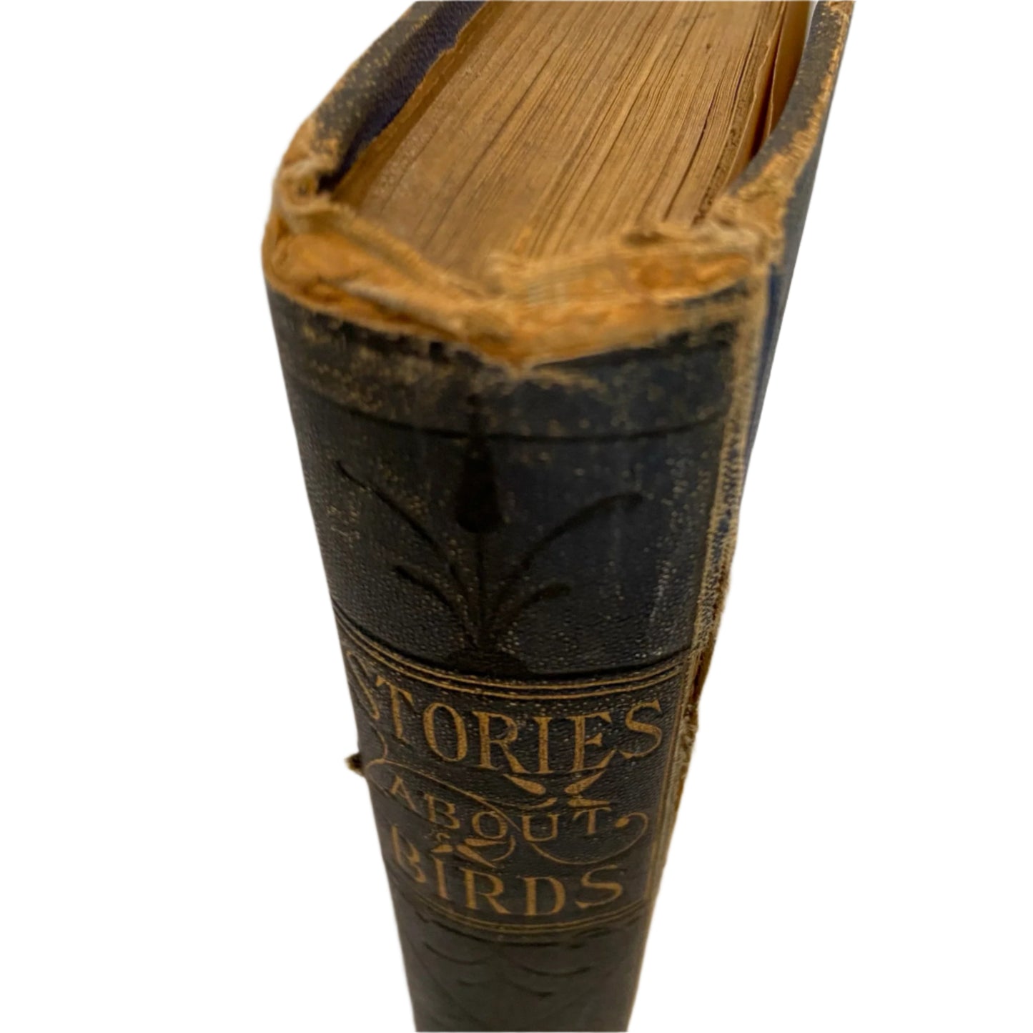 Circa 1870-1880 "Stories About Birds" Dark Blue Cloth Book