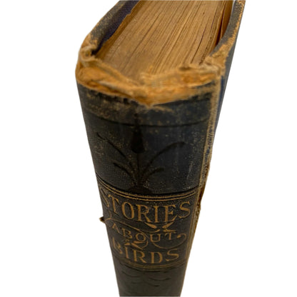 Circa 1870-1880 "Stories About Birds" Dark Blue Cloth Book
