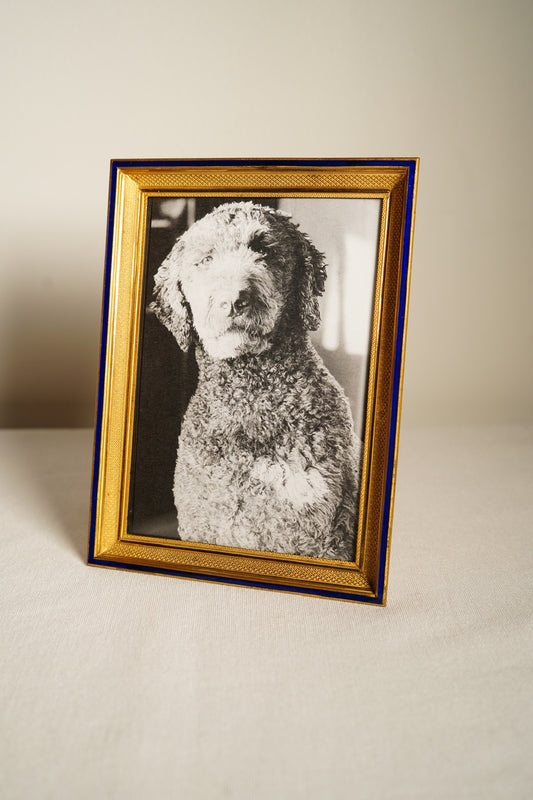 Parisian Gilt Brass and Cobalt Enamel Photograph Frame, Early 20th Century