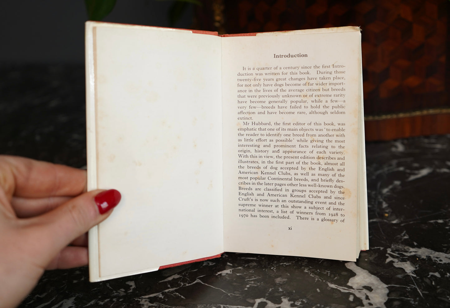 The Observer’s Book of Dogs (1970 Revised Edition) – Frederick Warne Pocket Series No. 8, Illustrated Vintage Dog Breed Guide