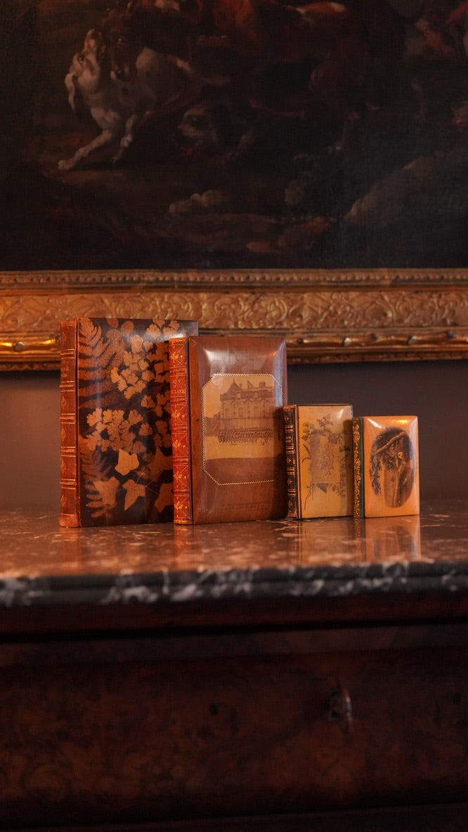 Mauchline Binding 1849 "The Poetical Works of Sir Walter Scott"