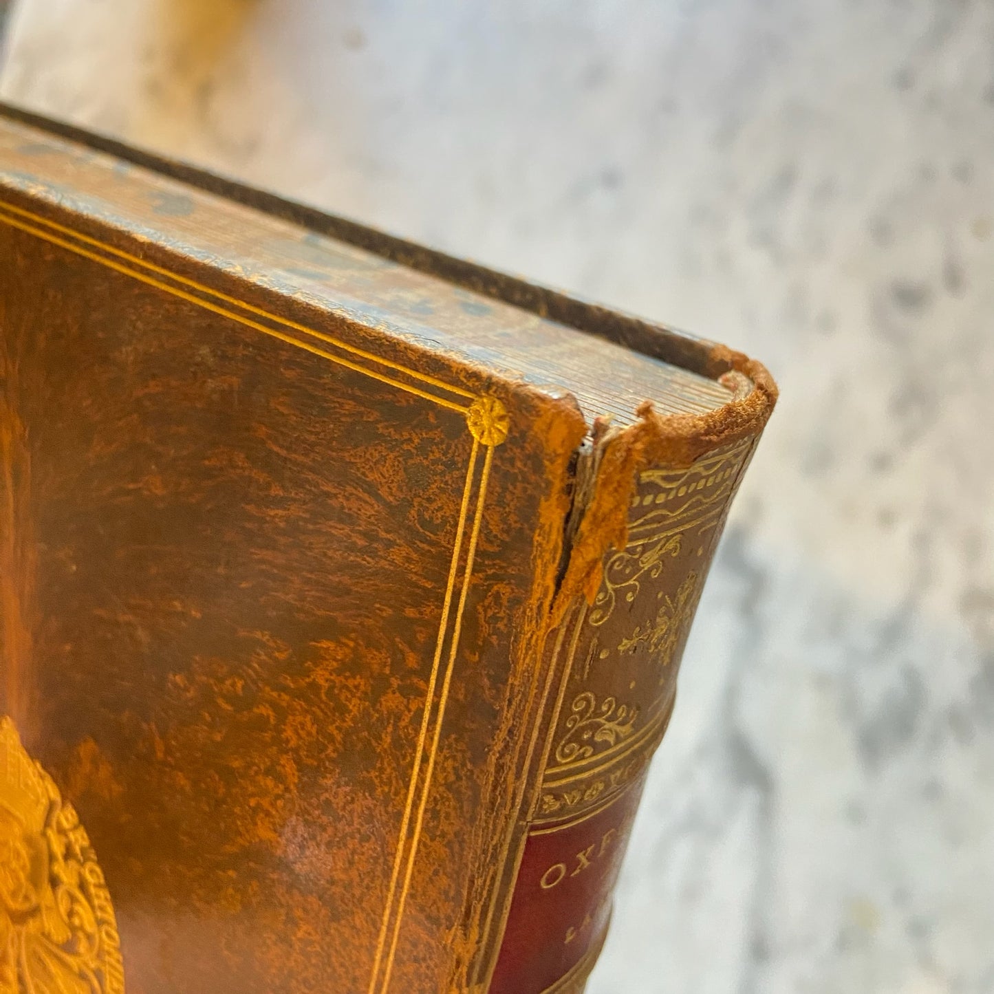 1890 “Oxford: Brief Historical and Descriptive Notes” by Andrew Lang – Antique Illustrated History Book in Tree Calf Prize Binding