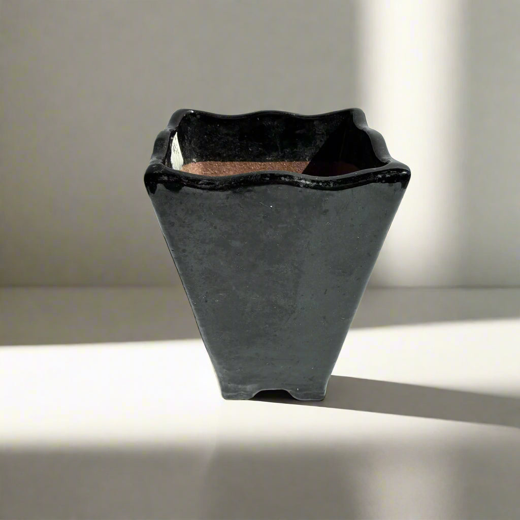Mid-Century Japanese Black Tenmoku Glazed Terracotta Bonsai Pot | Wabi-Sabi Folk Craft Planter (8.75")