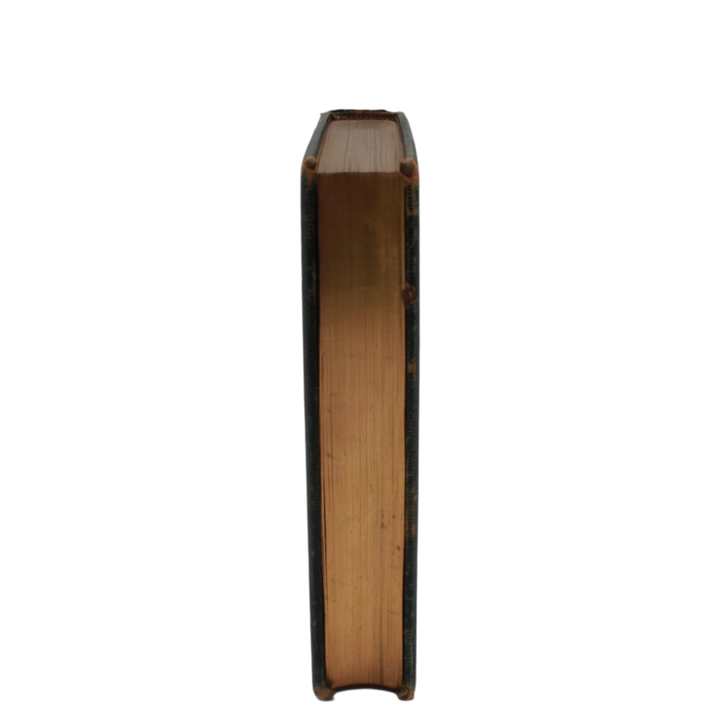 1804 "Marmion" Embossed Green Full Leather Book