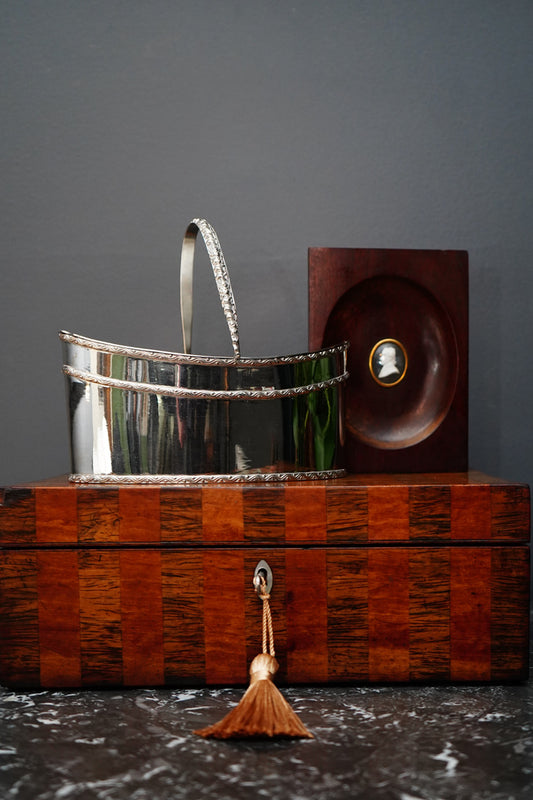 Antique Silver Plate Two Compartment Handled Caddy with Hinged Lids