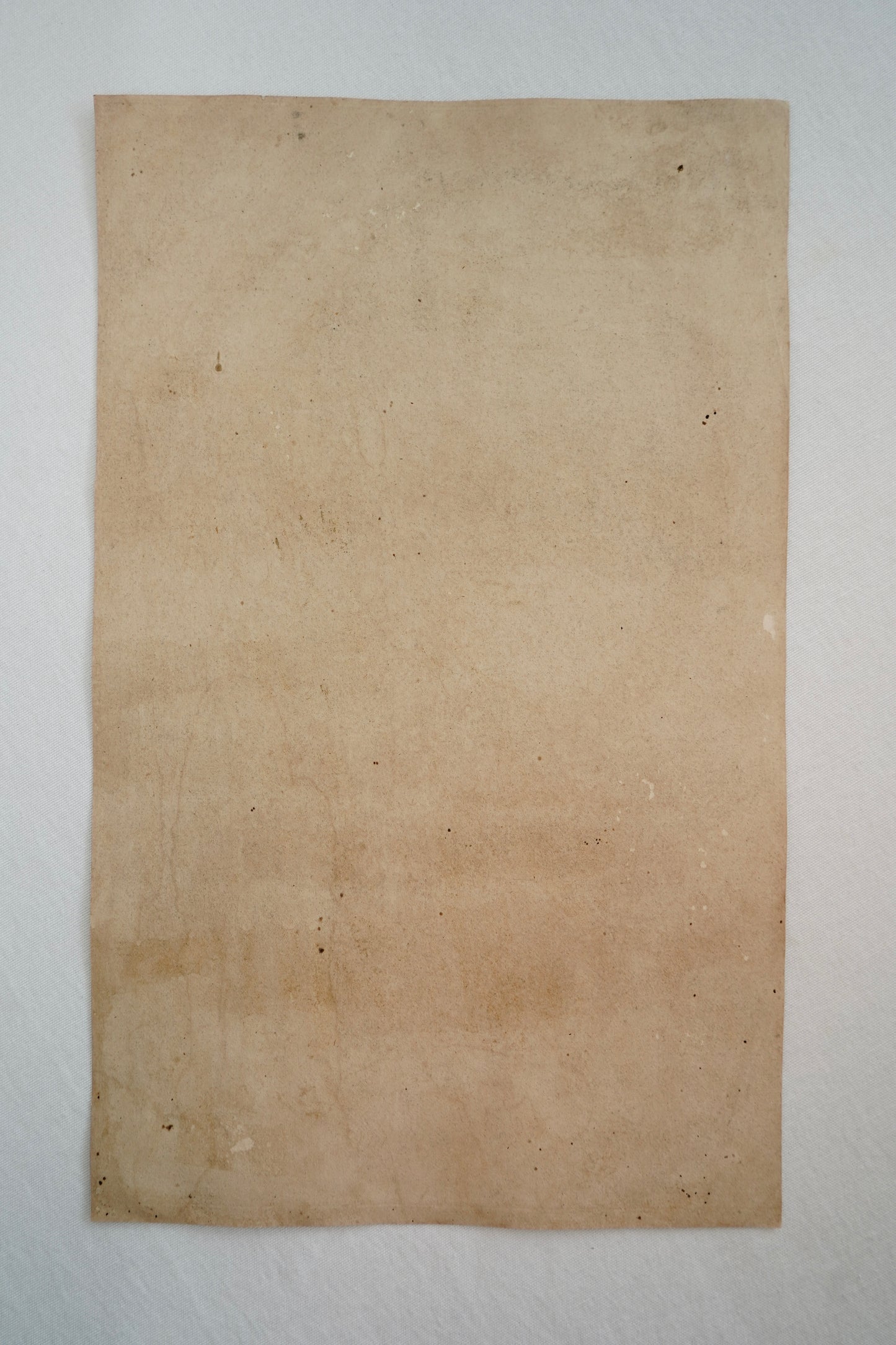 Early 19th Century Engraving "Duke of Buckingham" by Jacobus Houbraken