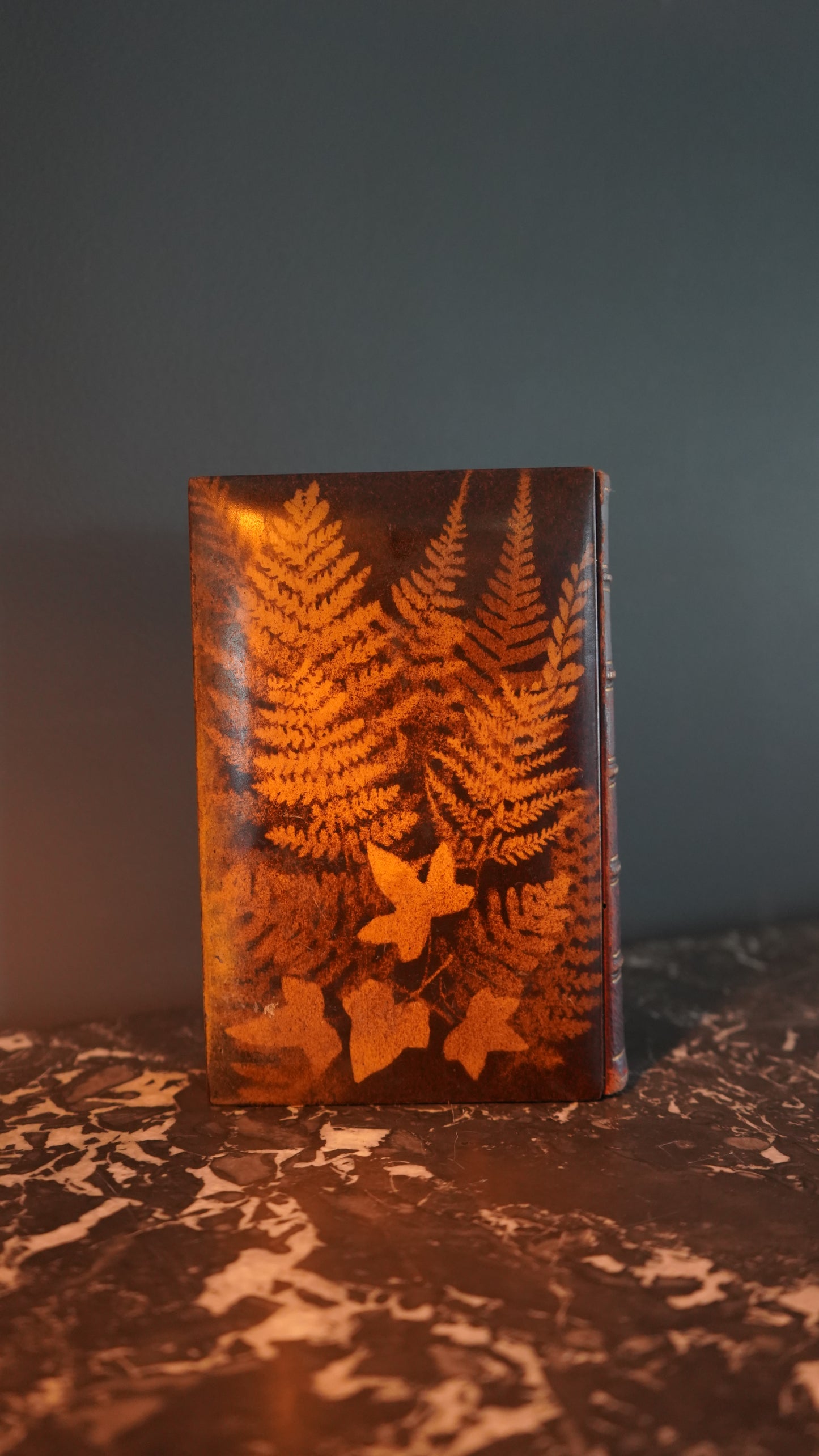 Mauchline Binding 1849 "The Poetical Works of Sir Walter Scott"