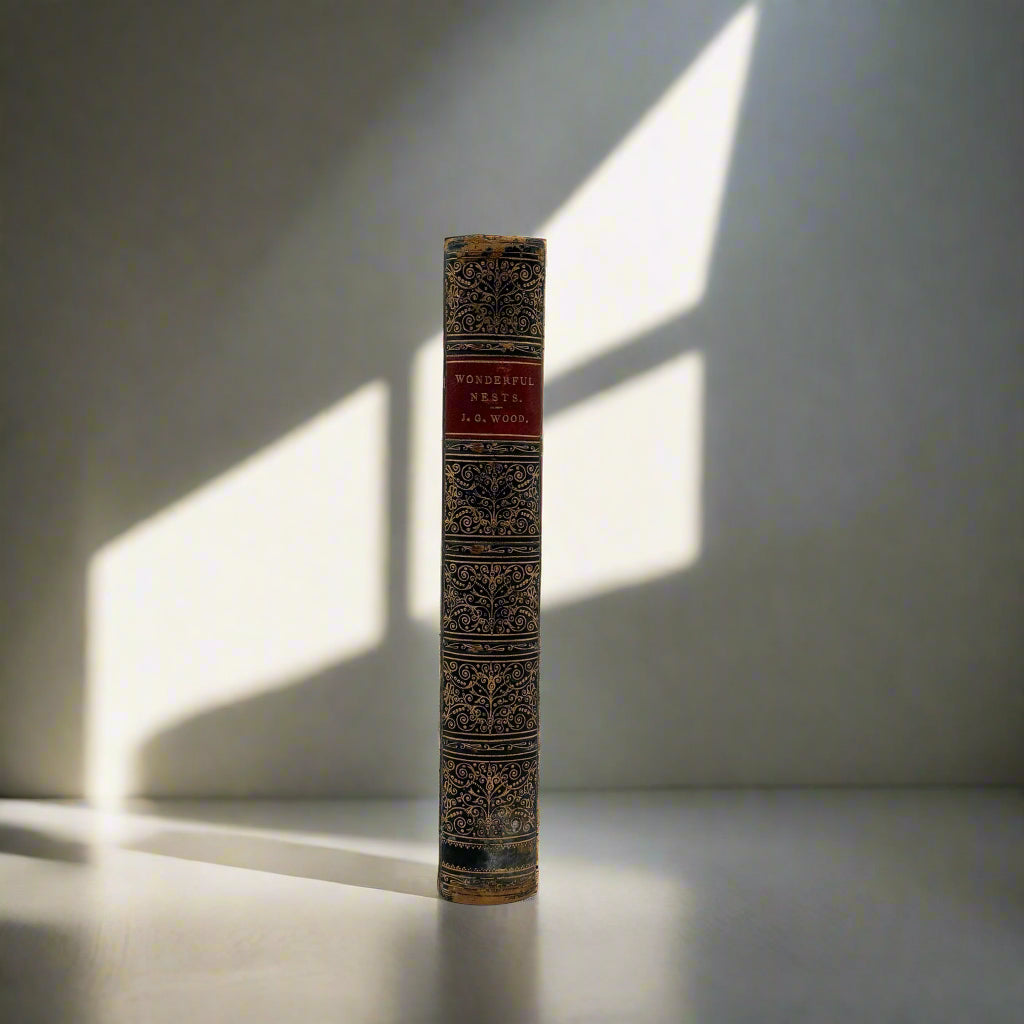 1892 Nature "Wonderful Nests" Blue Full Leather Prize Binding Book, Antique Bird Book