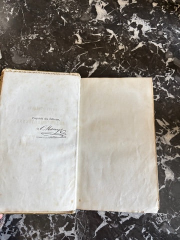 Antique French Prize Book with Blue and Gilt Embossed Binding | 1856 Histoire de Bertrand du Guesclin by Guyard de Berville