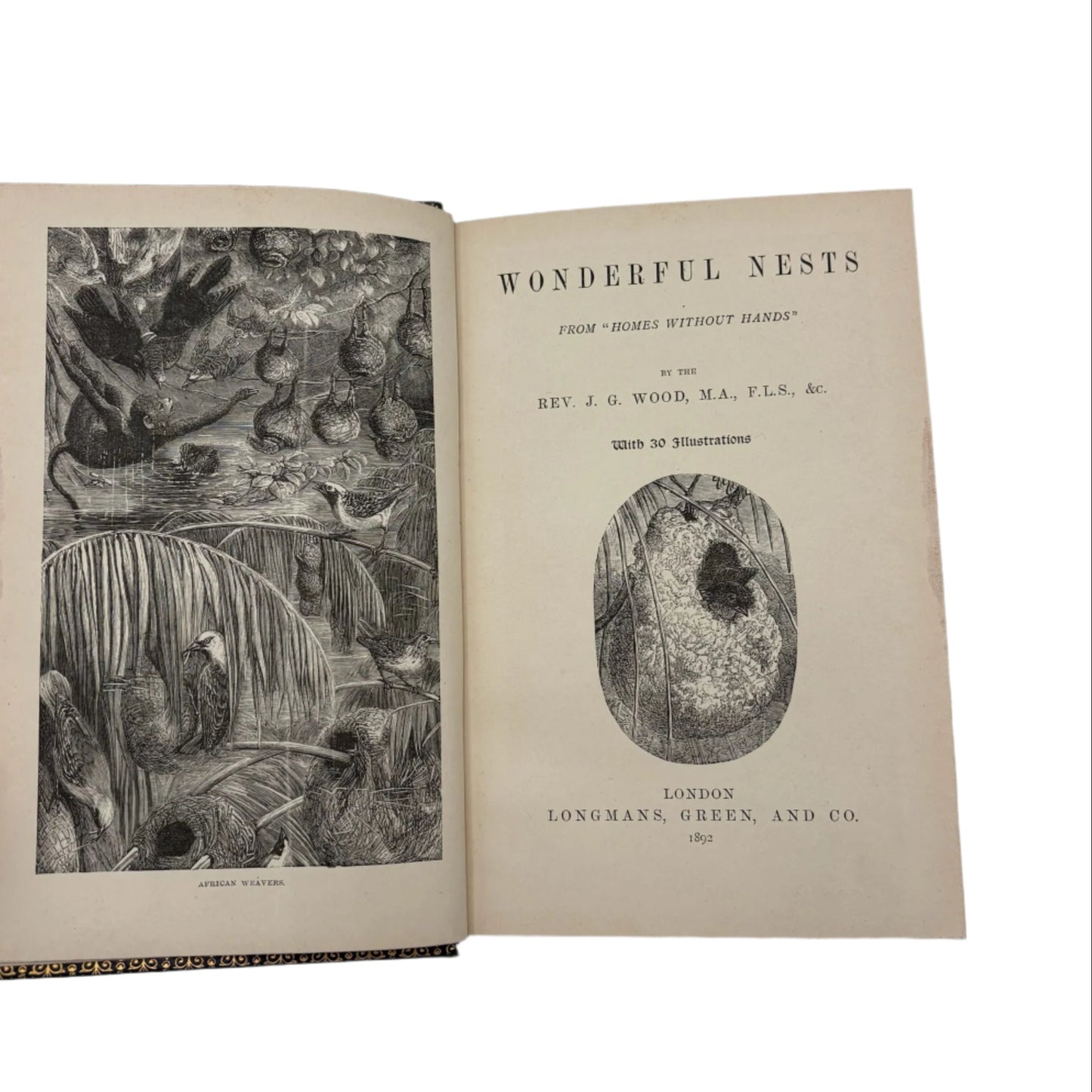 1892 Nature "Wonderful Nests" Blue Full Leather Prize Binding Book, Antique Bird Book