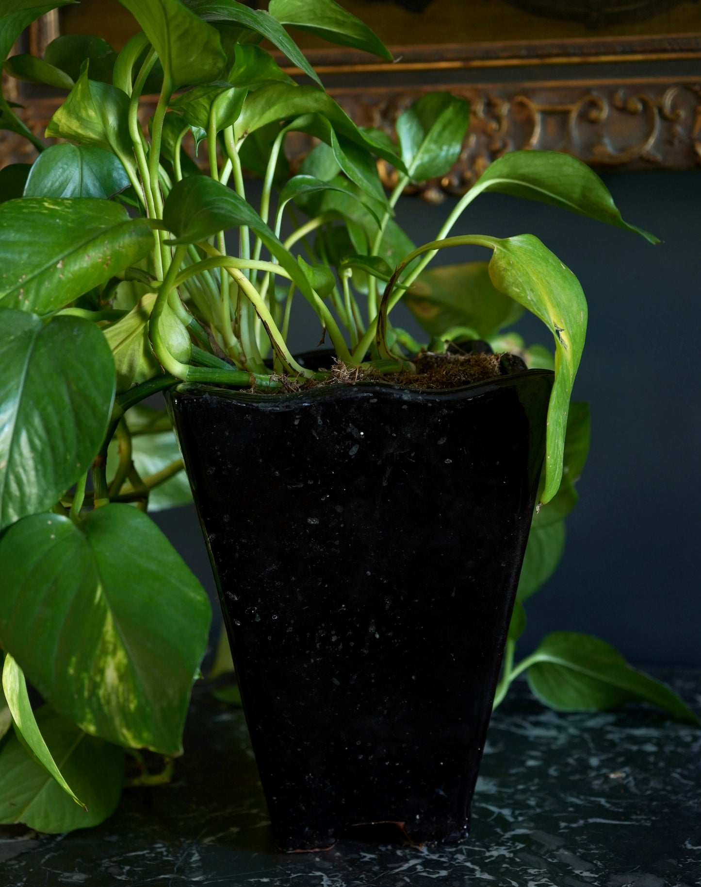Mid-Century Japanese Black Tenmoku Glazed Terracotta Bonsai Pot | Wabi-Sabi Folk Craft Planter (8.75")