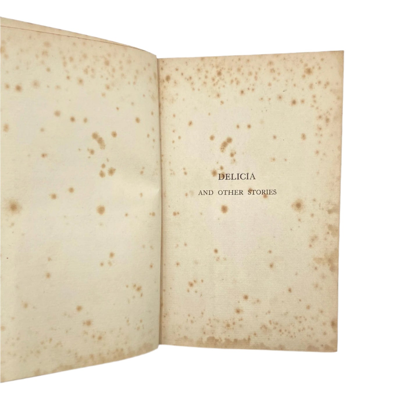 1907 "Delicia" Brown Half Leather Book