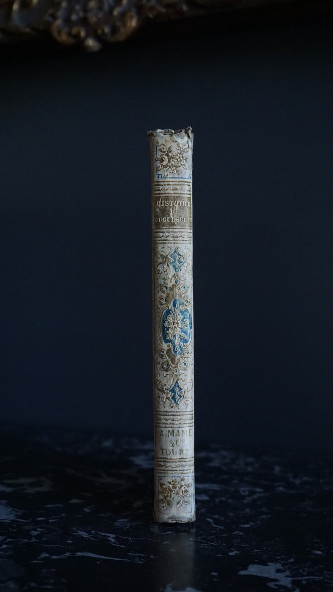 Antique French Prize Book with Blue and Gilt Embossed Binding | 1856 Histoire de Bertrand du Guesclin by Guyard de Berville