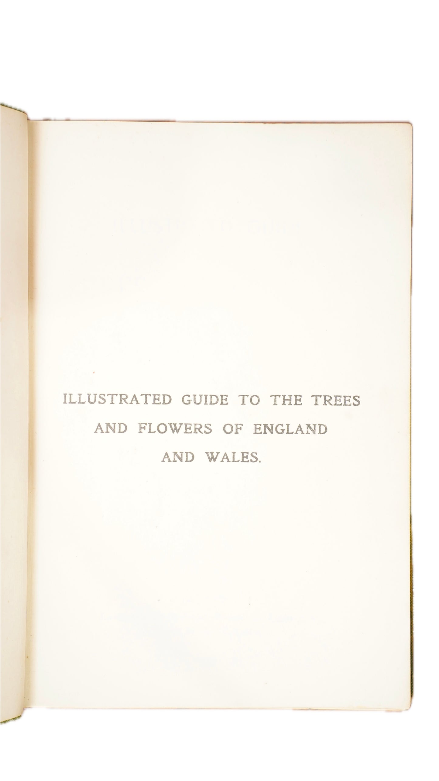 Antique H.G. Jameson Trees and Flowers of England and Wales 1909 Illustrated Guide
