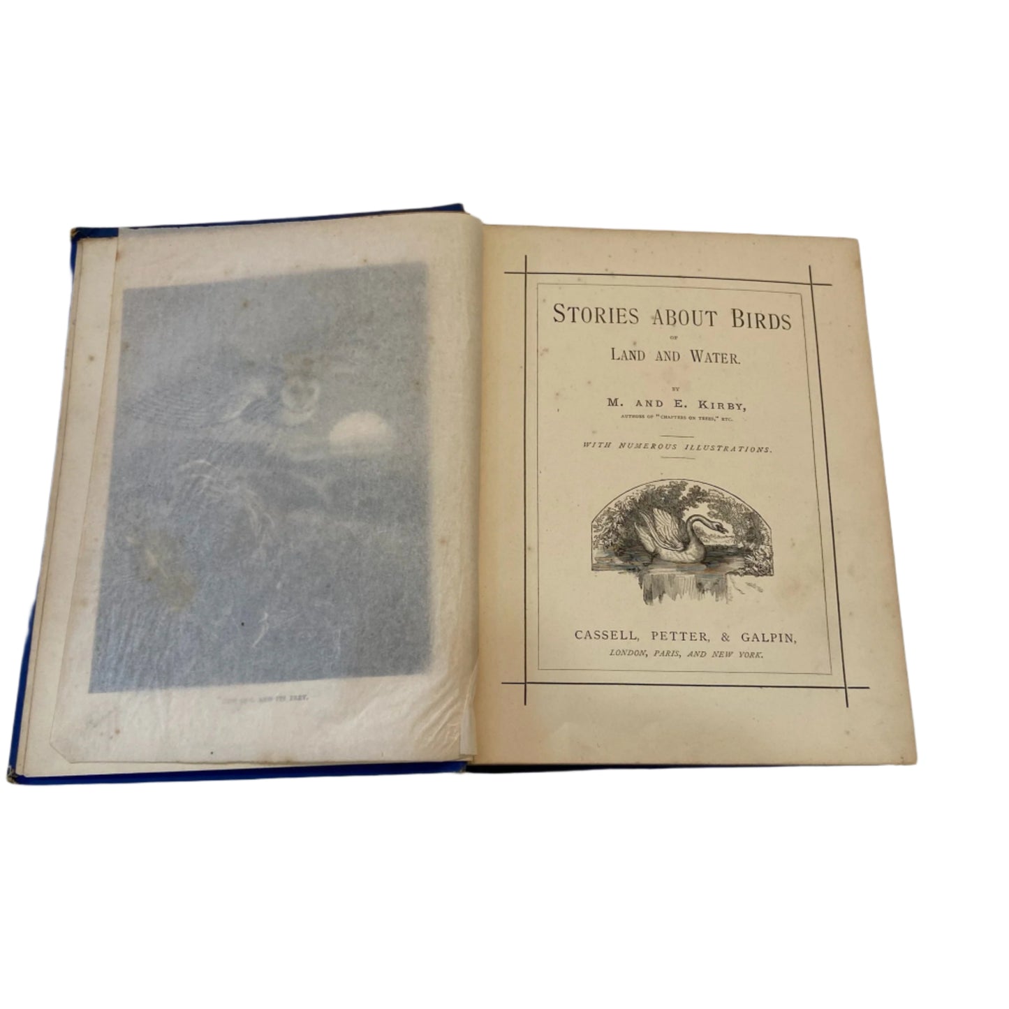 Circa 1870-1880 "Stories About Birds" Dark Blue Cloth Book