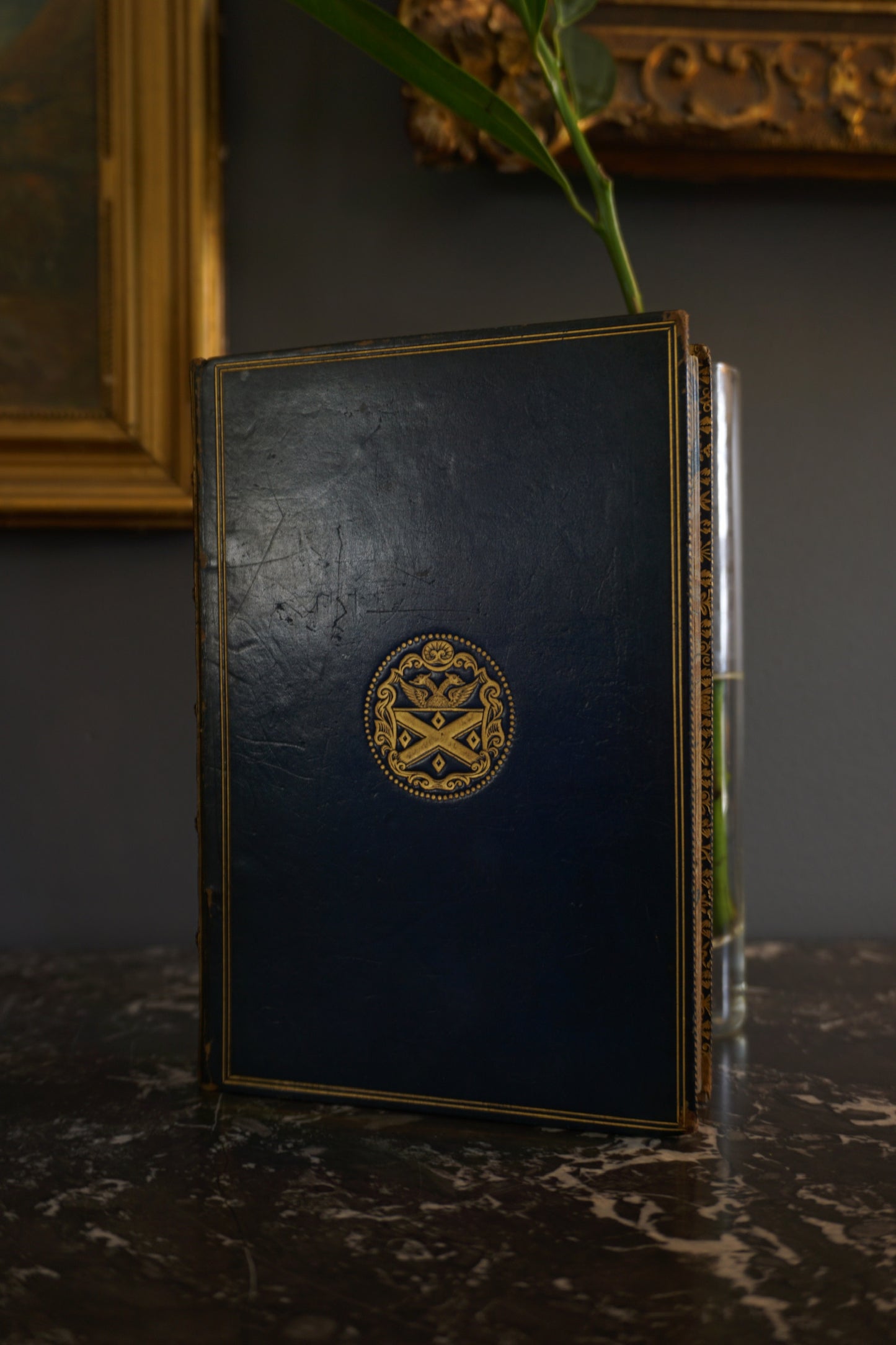 Antique Bird Book A Familiar History of Birds Victorian Prize Binding Blue Leather 1890s Illustrated Natural History