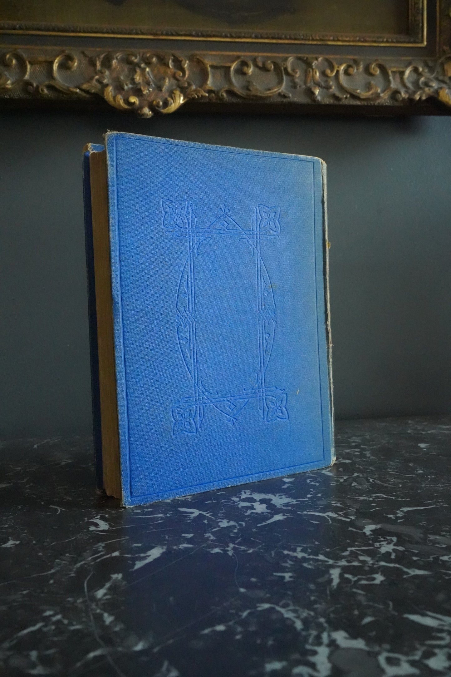 Circa 1870-1880 "Stories About Birds" Dark Blue Cloth Book