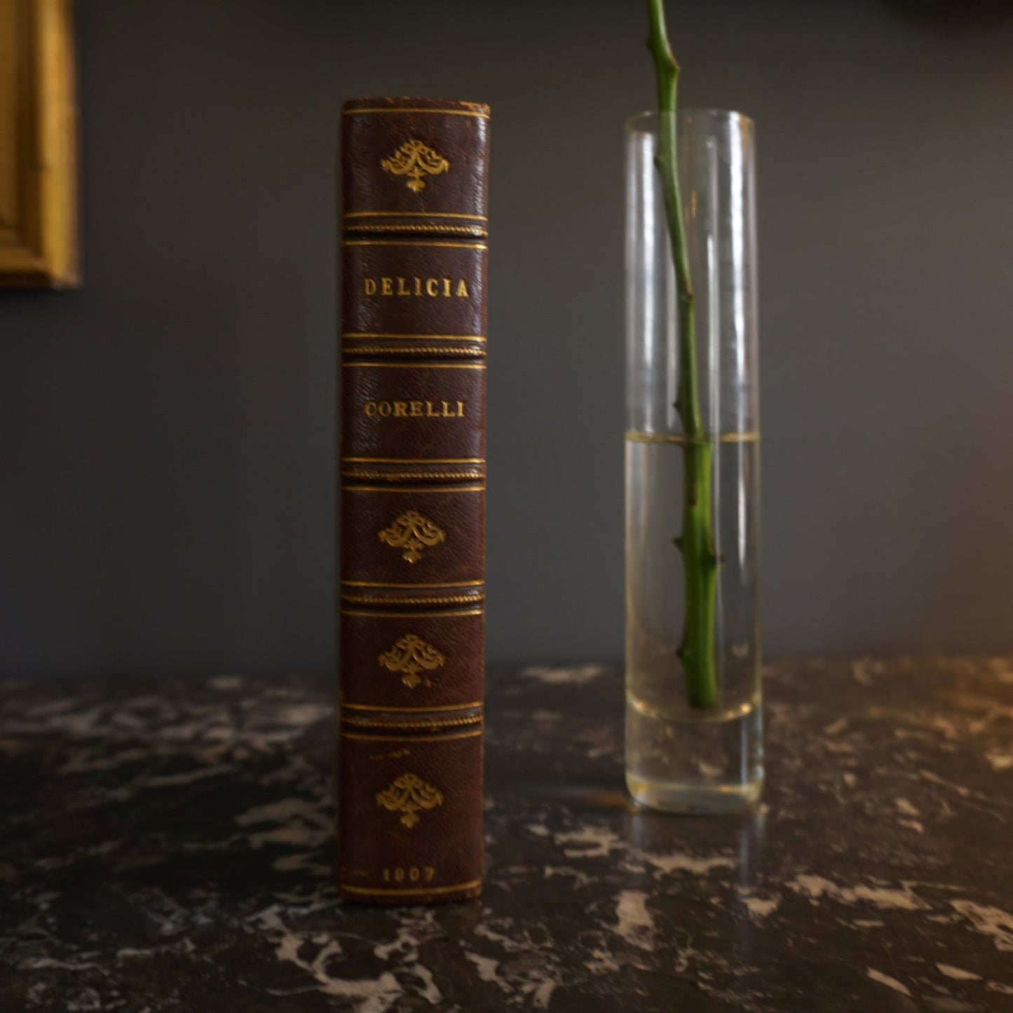 1907 "Delicia" Brown Half Leather Book